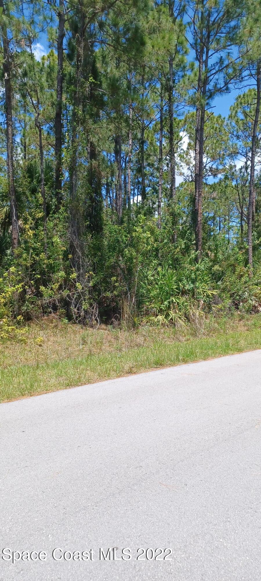 1241 Platt Avenue SW