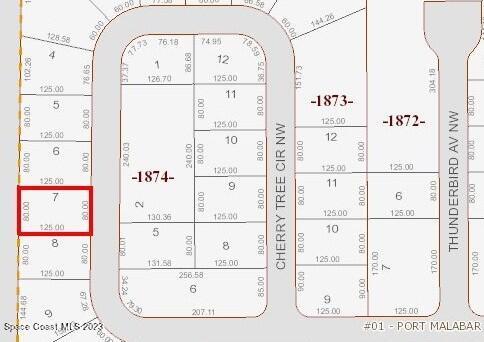 387 Cherry Tree Circle NW