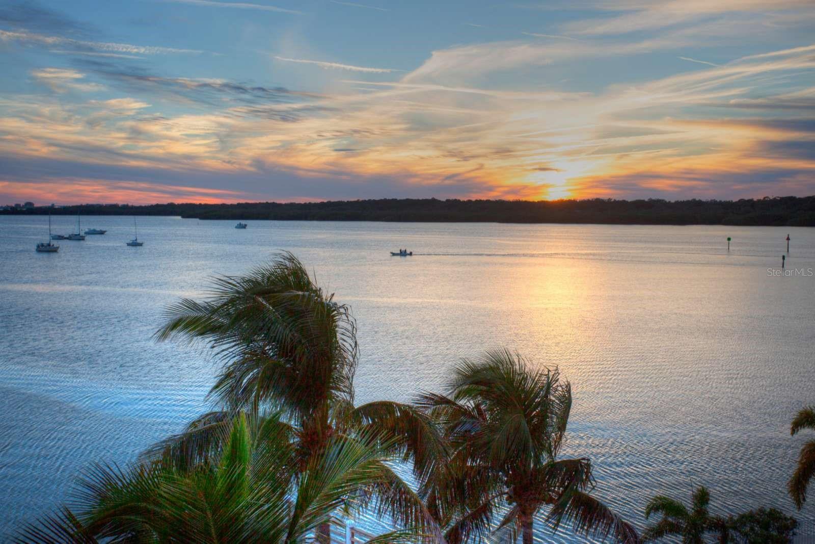 8800 BAY PINES BLVD #312