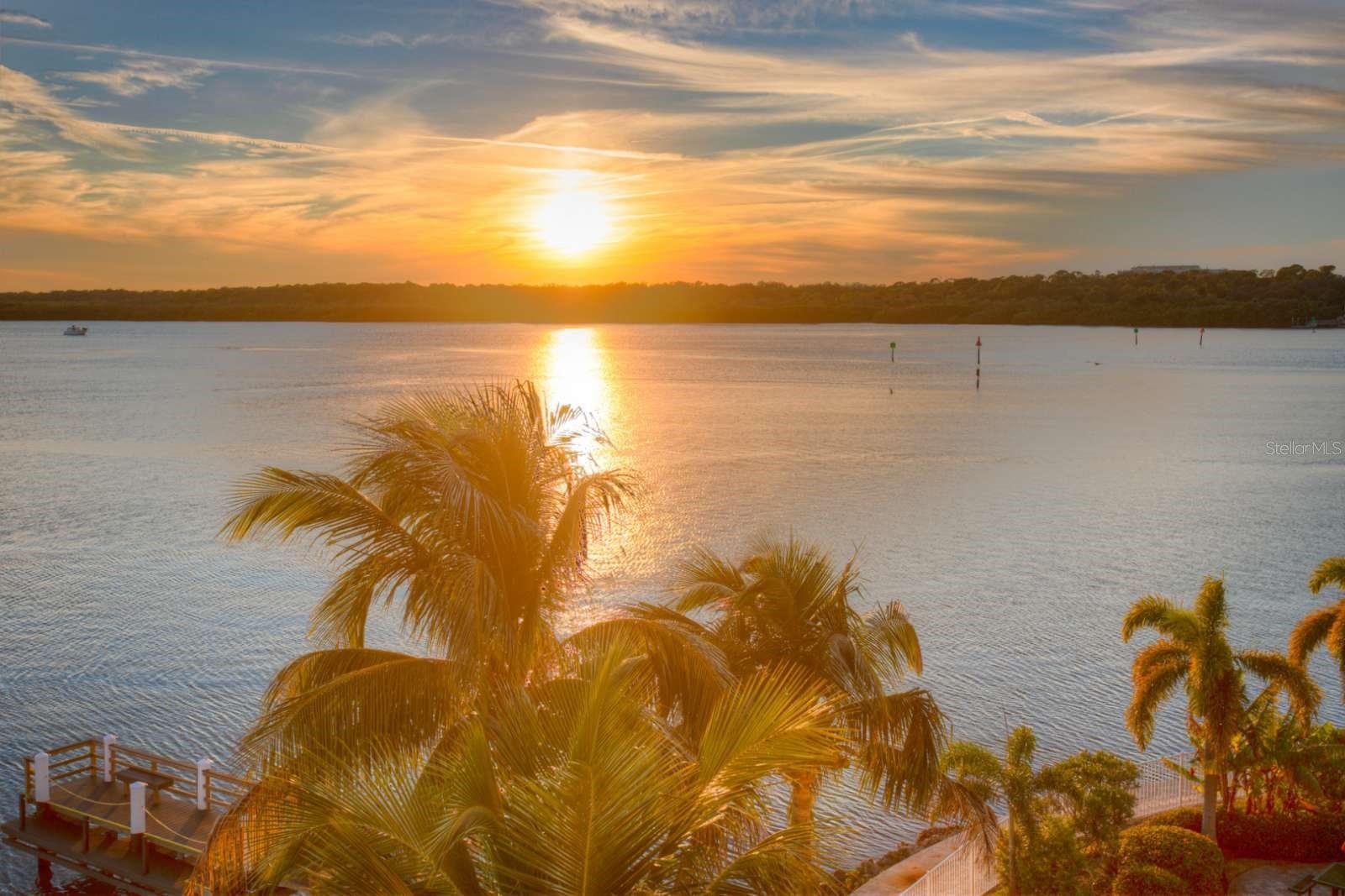 8800 BAY PINES BLVD #312