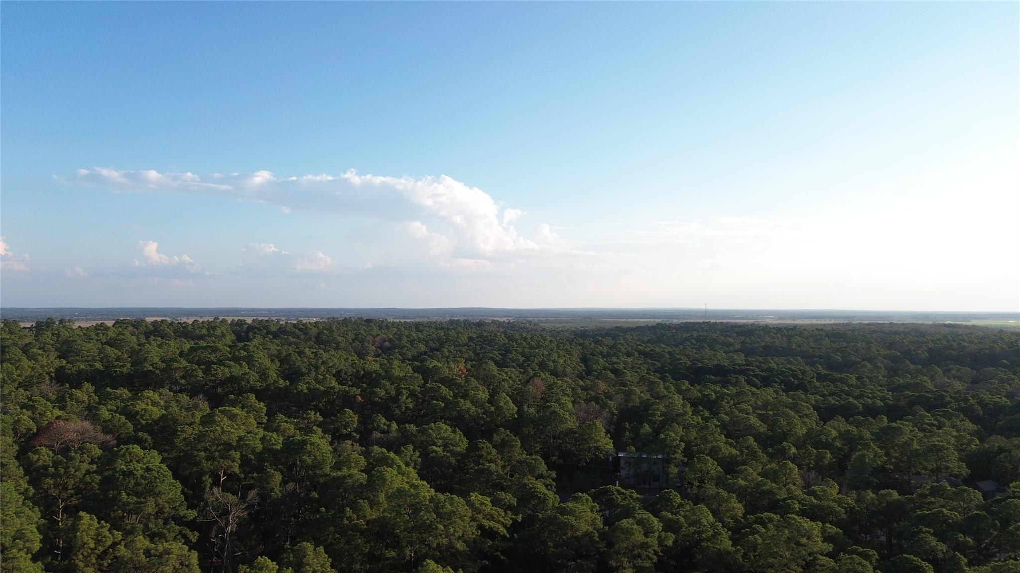 Aerial view over dense woodland, with a distant flat horizon and scattered clouds.