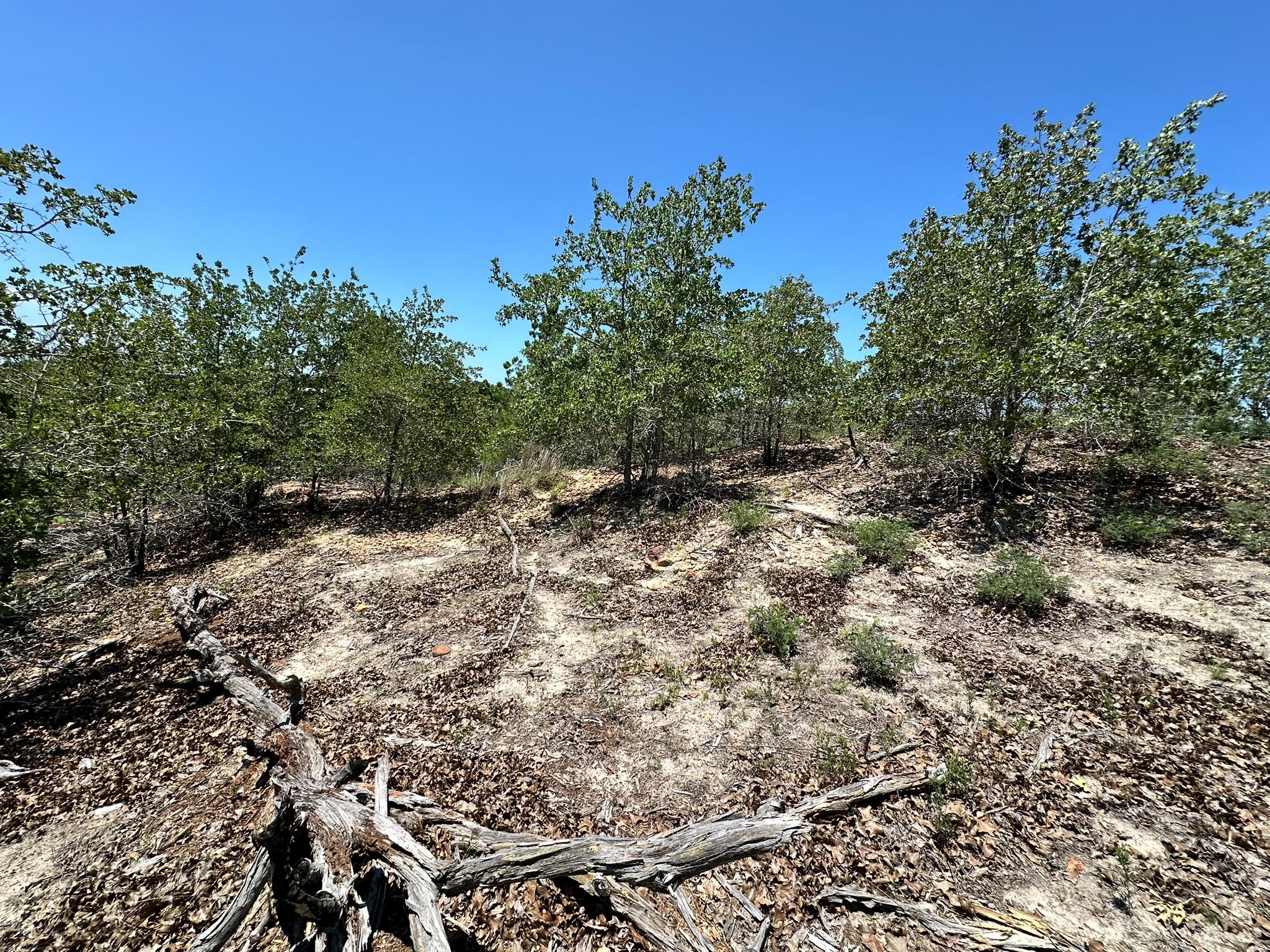 TBD Manawianui DR
