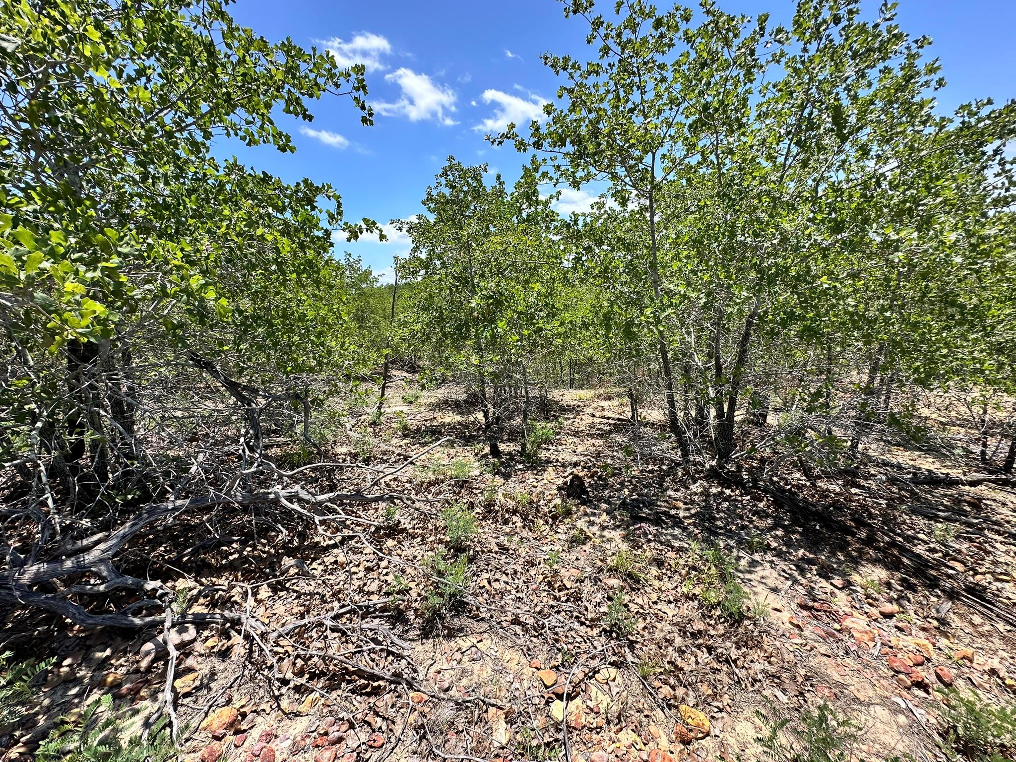 TBD Manawianui DR