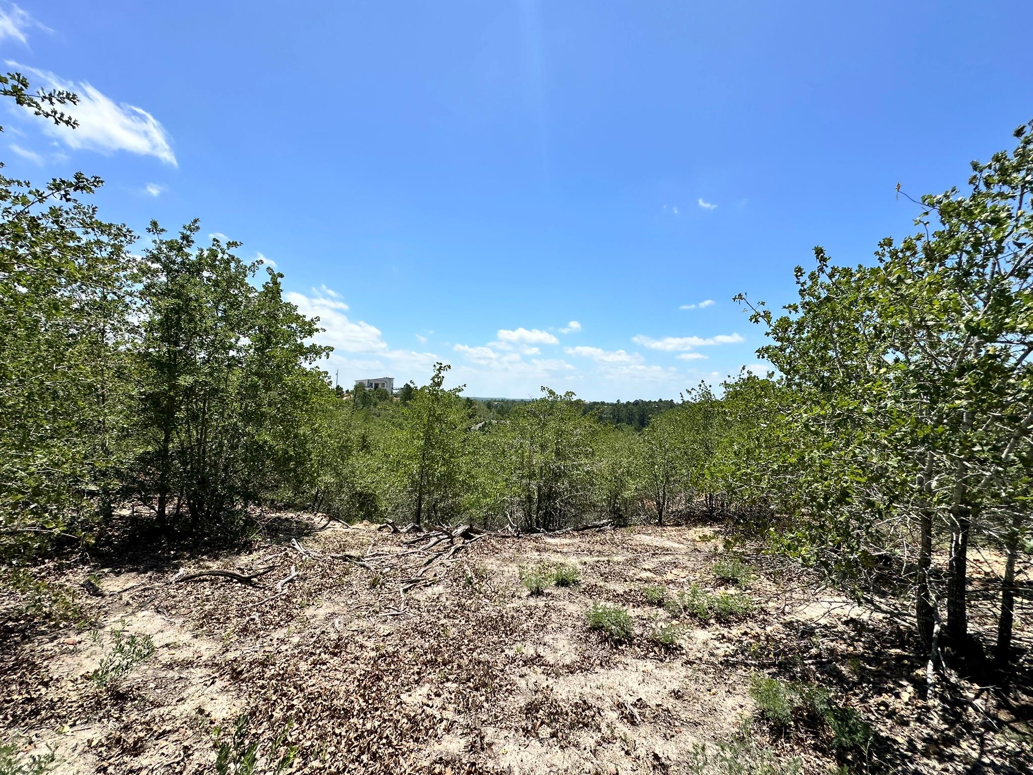 TBD Manawianui DR