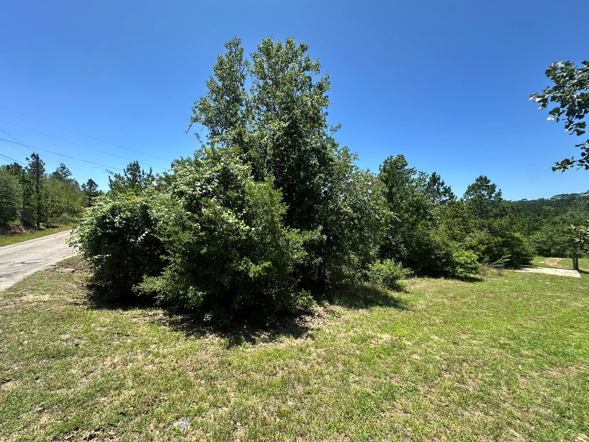 000 Manawianui DR