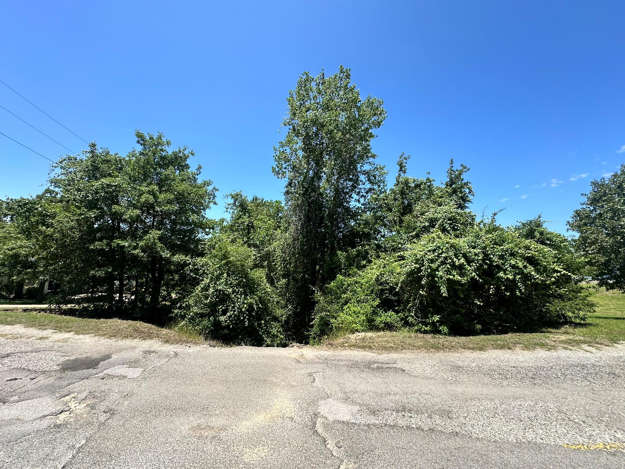 000 Manawianui DR