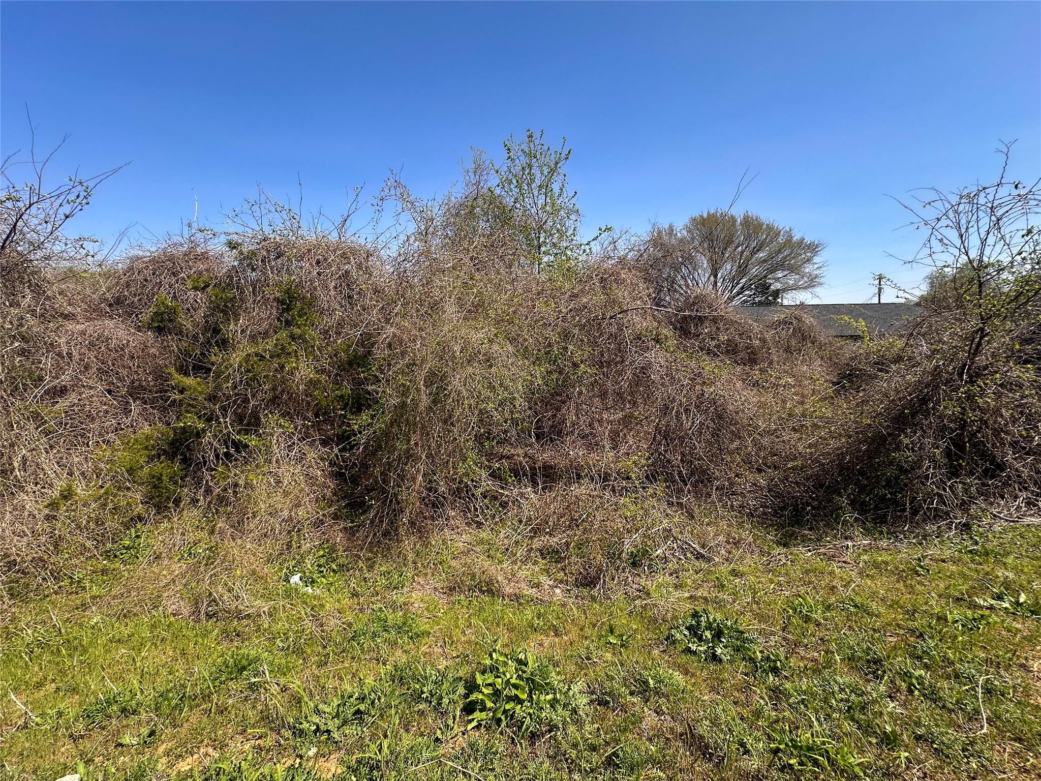 100 Paia LN