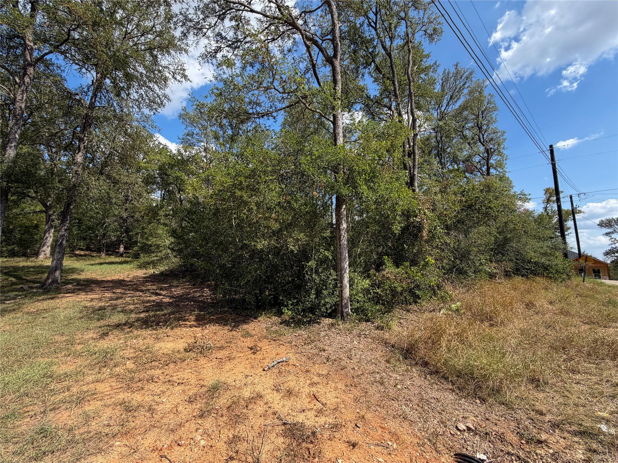 Wooded vacant lot with mature trees, a dirt clearing, and overhead utility lines.