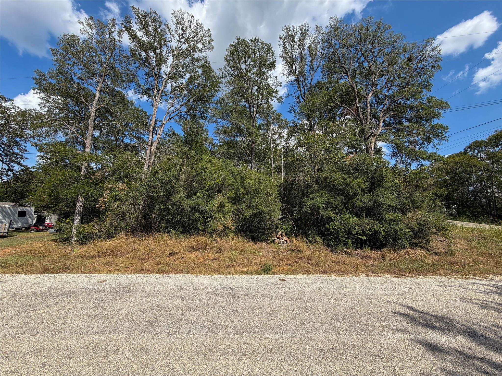 Wooded vacant lot with mature trees and dense brush along a gravel road.