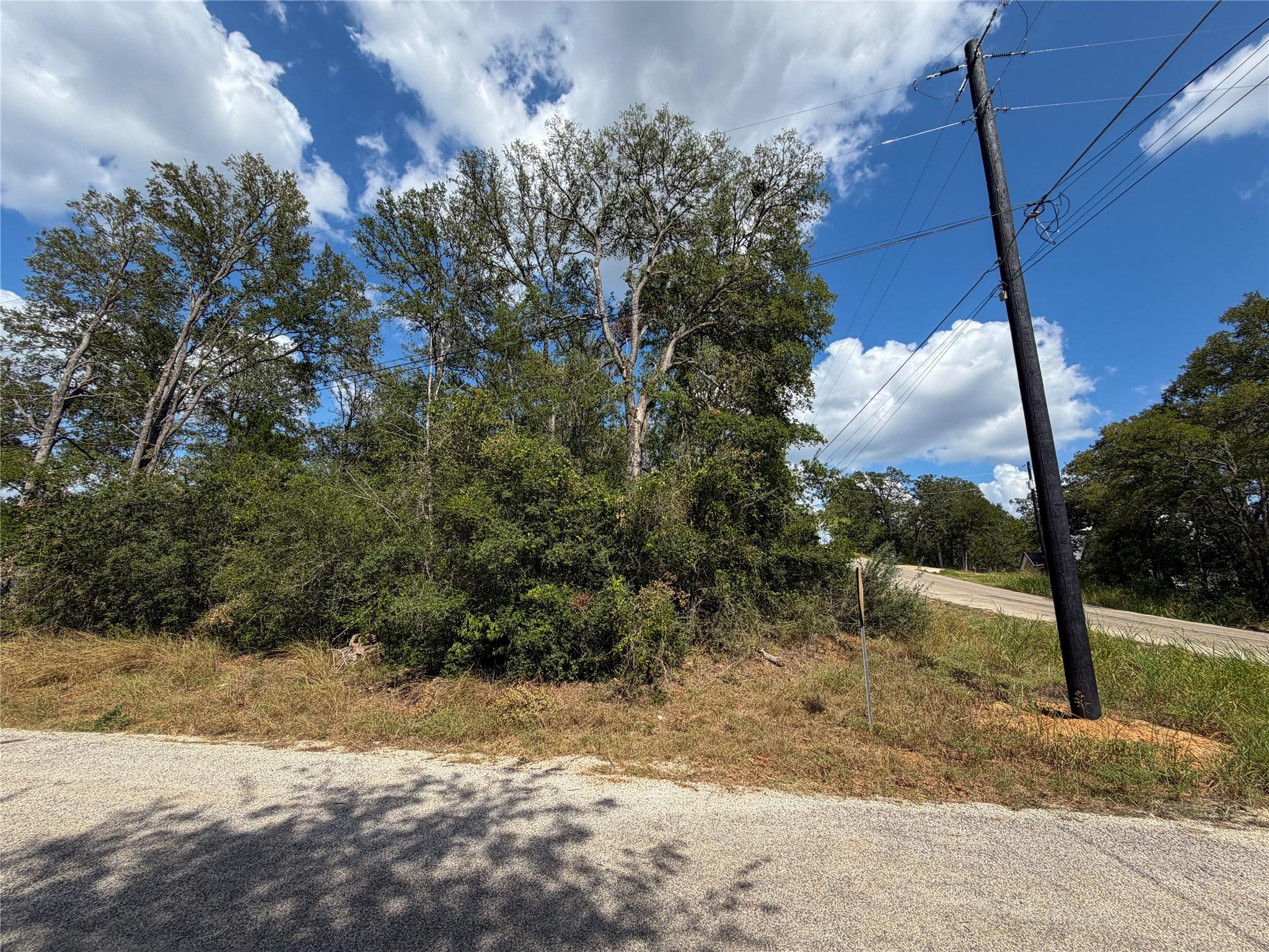 Wooded vacant lot beside a paved road, with a utility pole and overhead power lines.