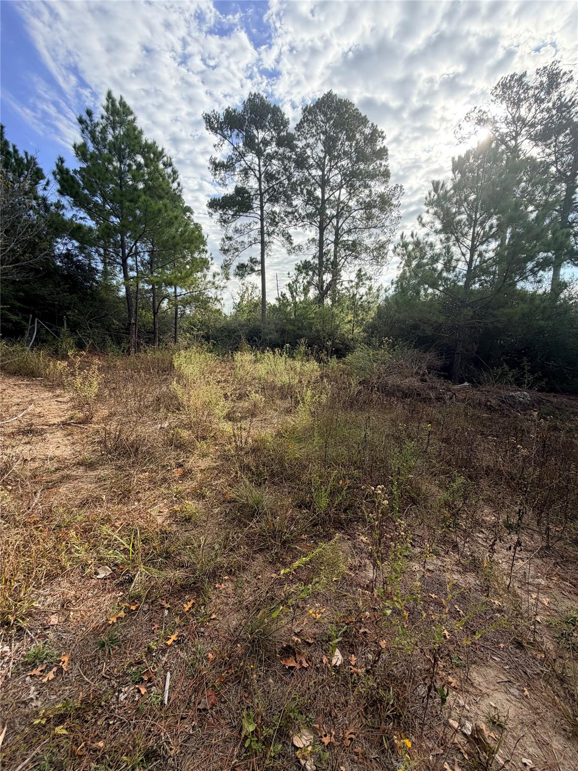 127 Koali DR