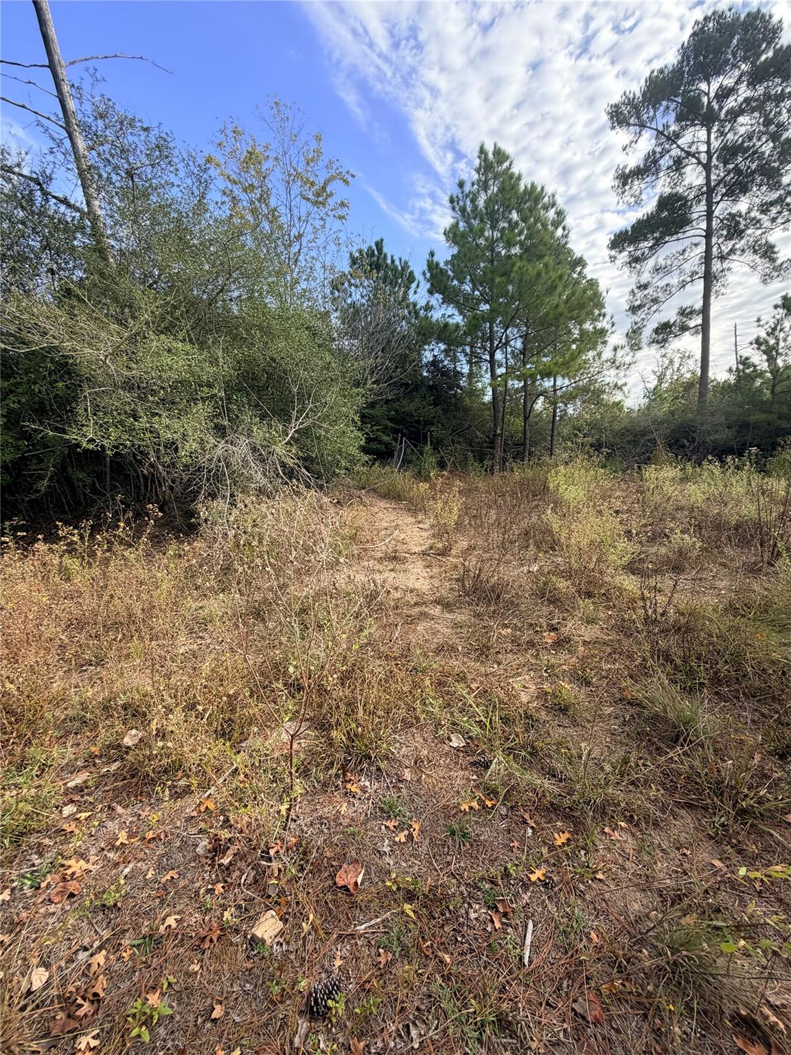127 Koali DR