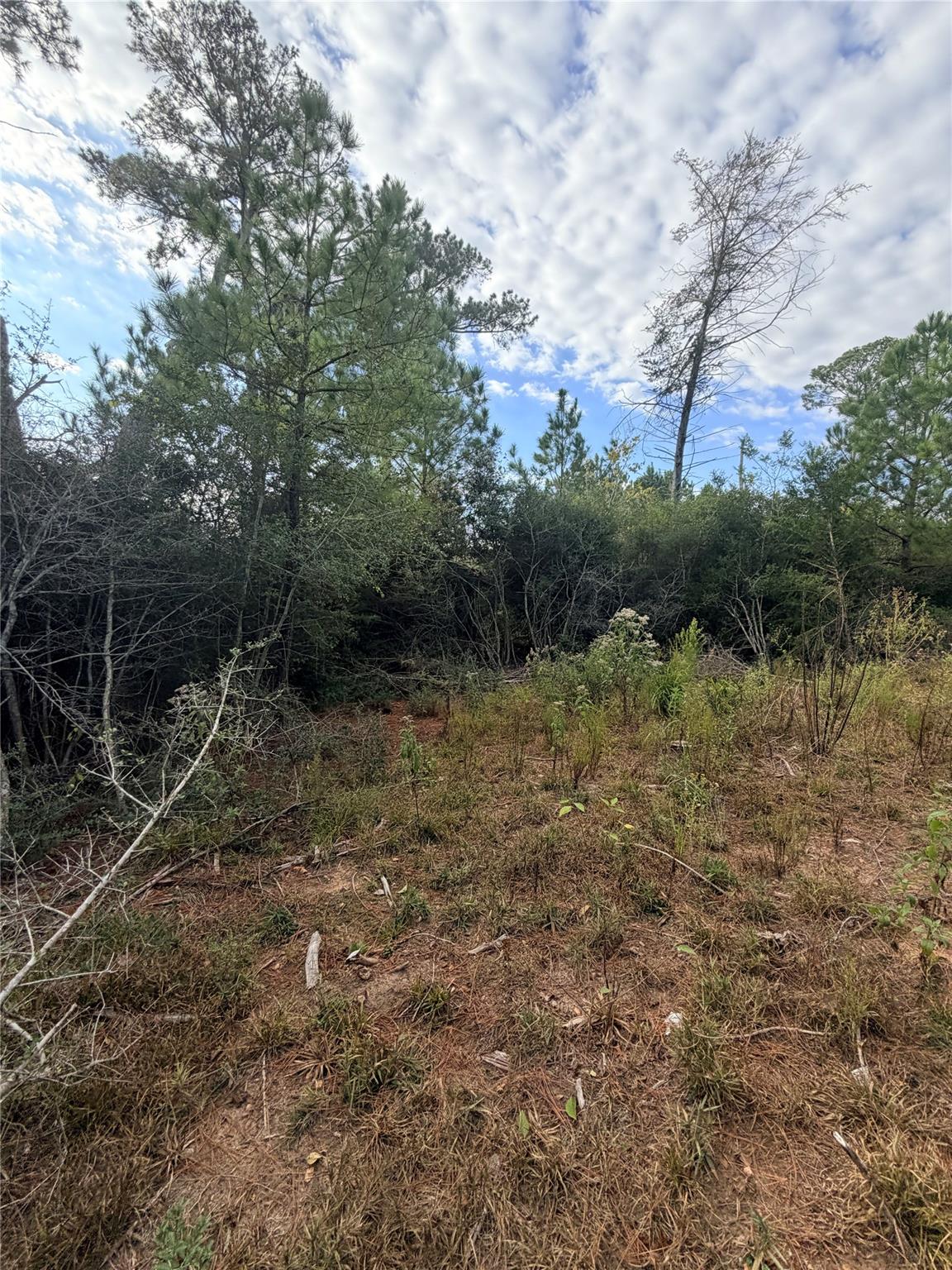 127 Koali DR