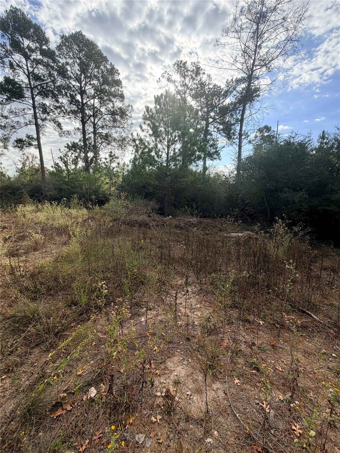 127 Koali DR