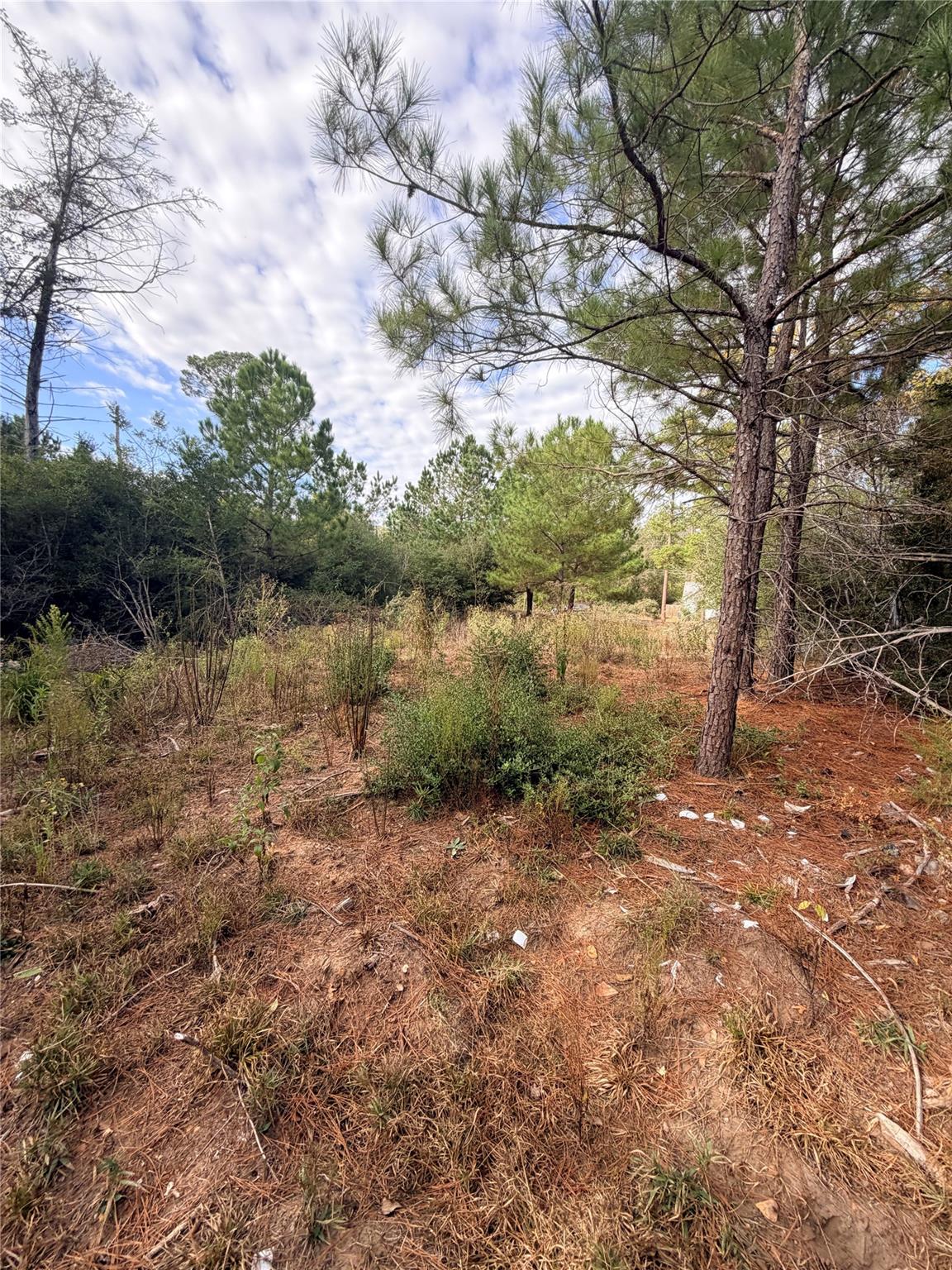 127 Koali DR