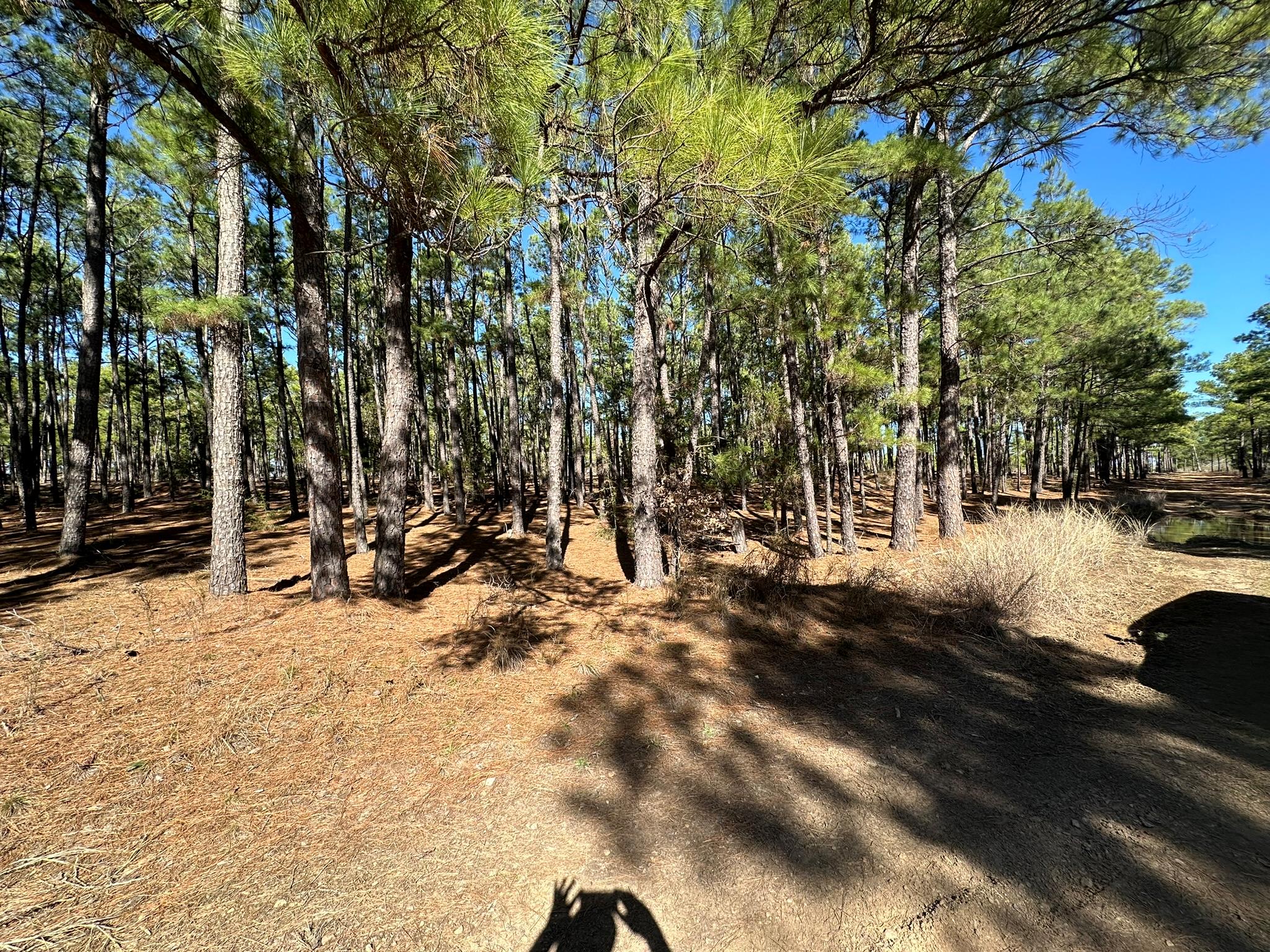 Lot 12 Hickory Ridge DR
