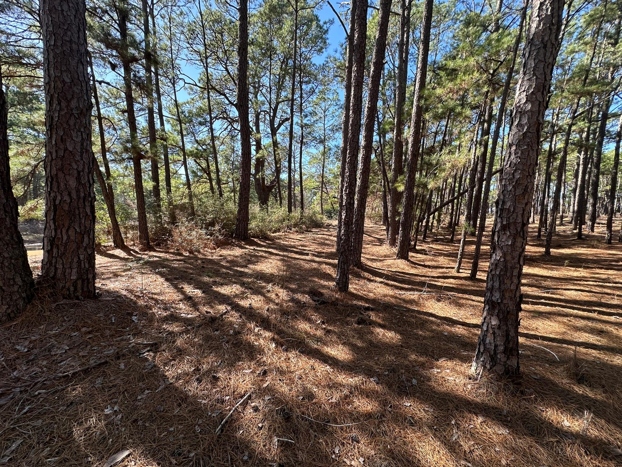 Lot 12 Hickory Ridge DR