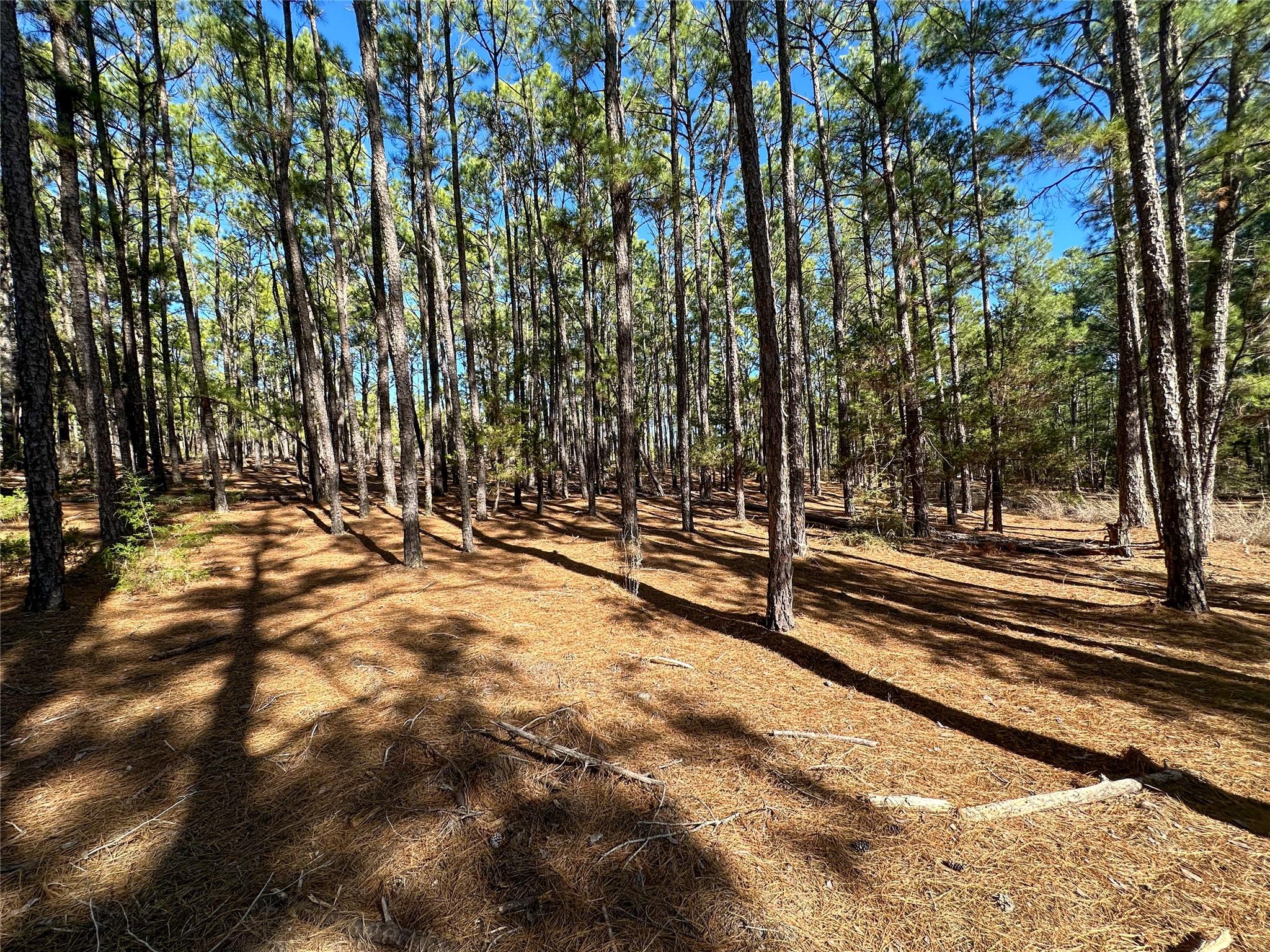 Lot 12 Hickory Ridge DR