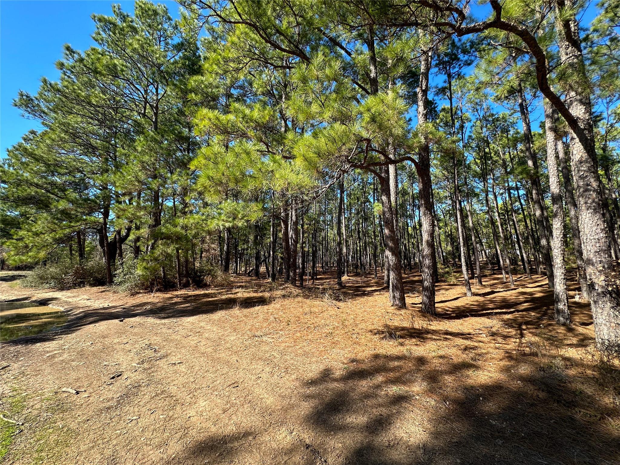Lot 12 Hickory Ridge DR