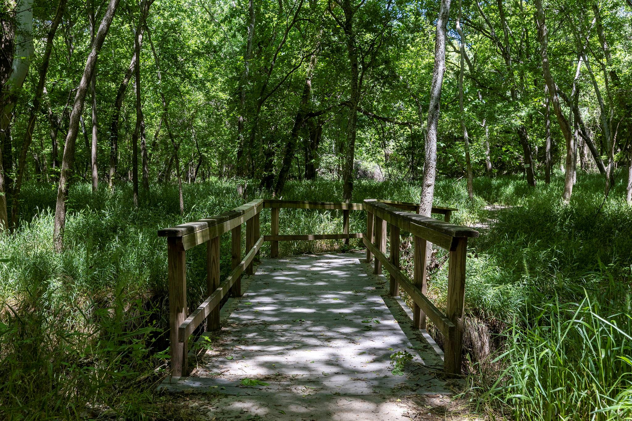 Lot 11 Hickory Ridge DR