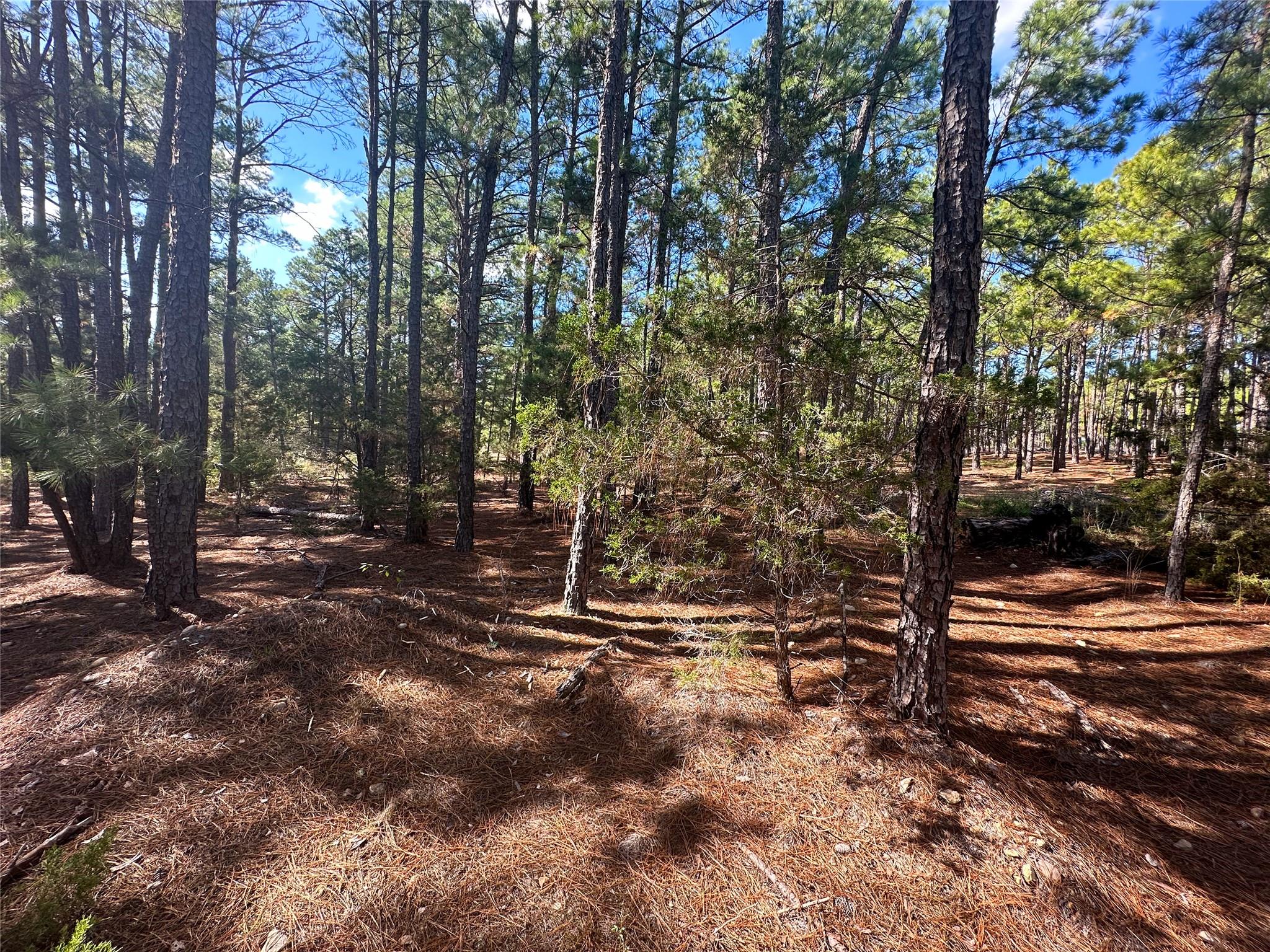 Lot 11 Hickory Ridge DR