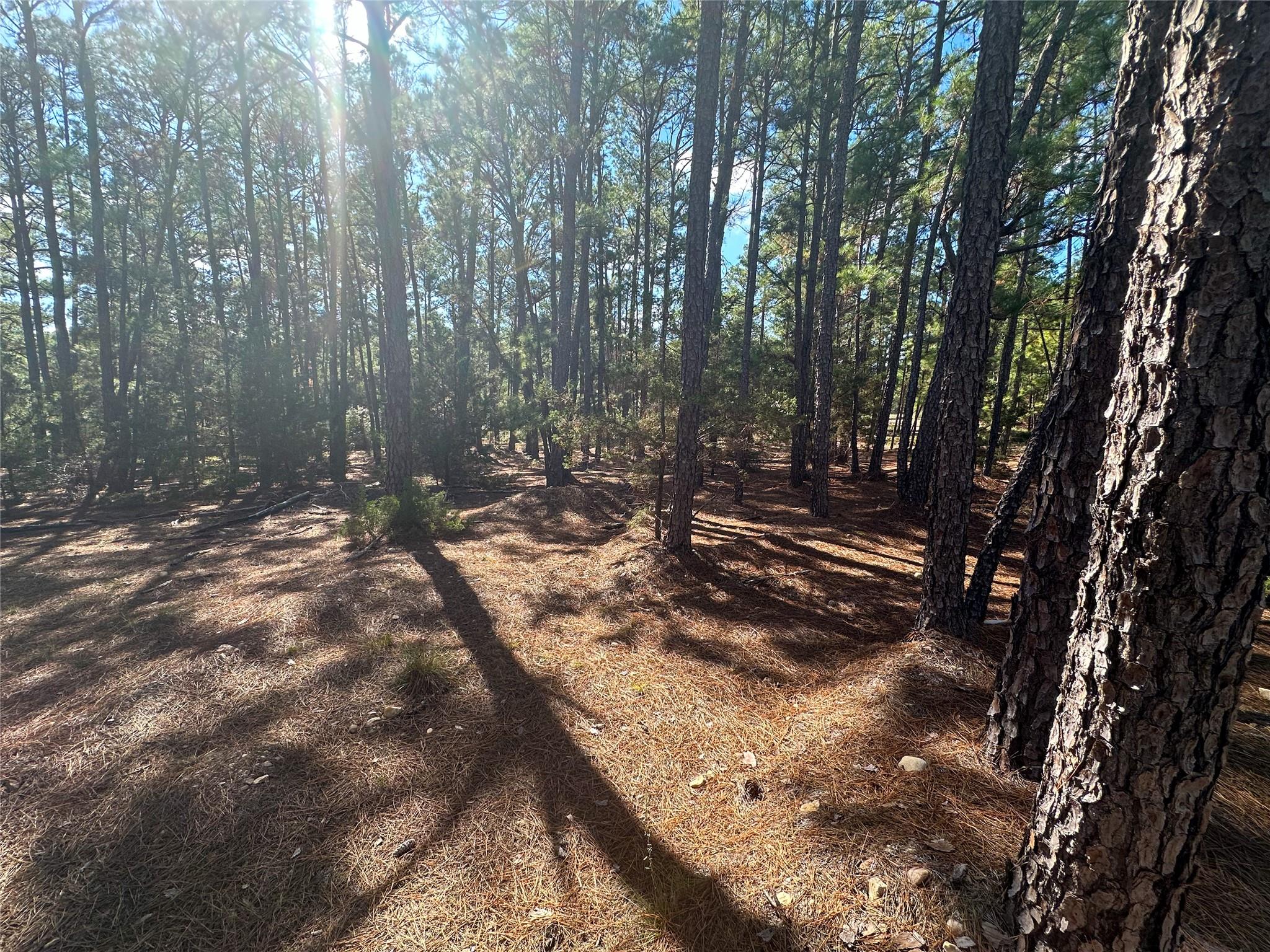Lot 11 Hickory Ridge DR