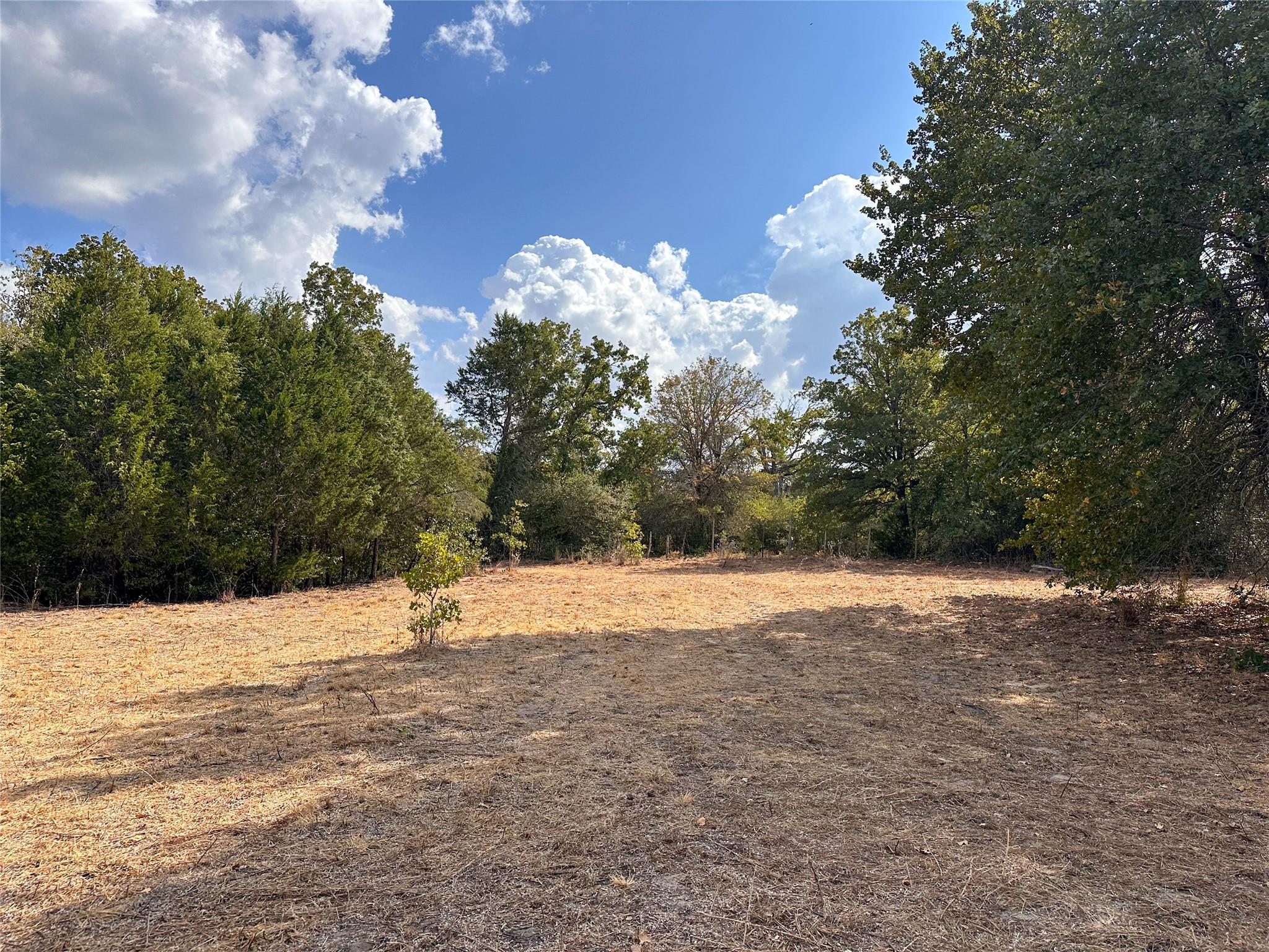 TBD Walter Hoffman RD