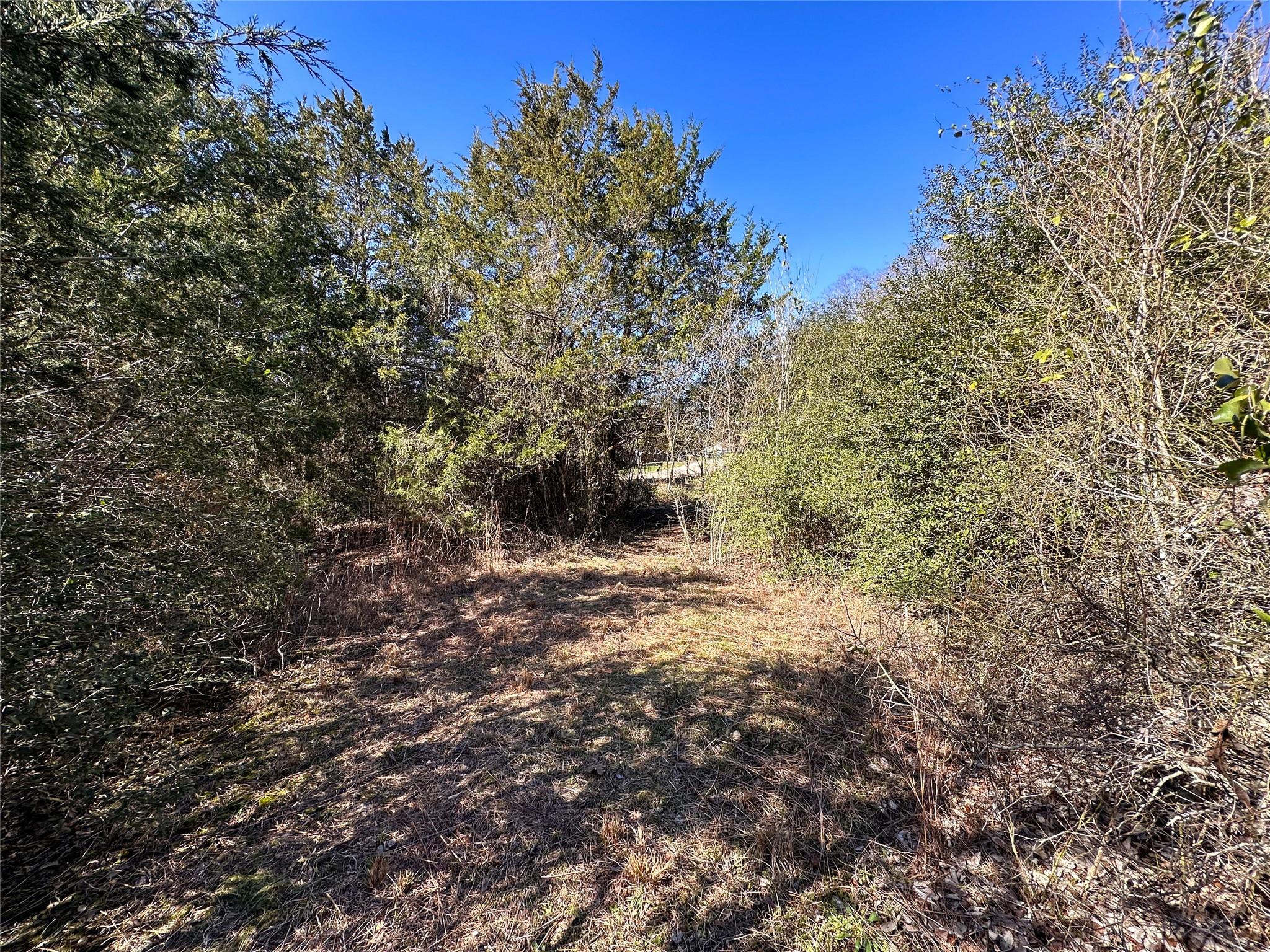 LOT 15 Alta Vista DR
