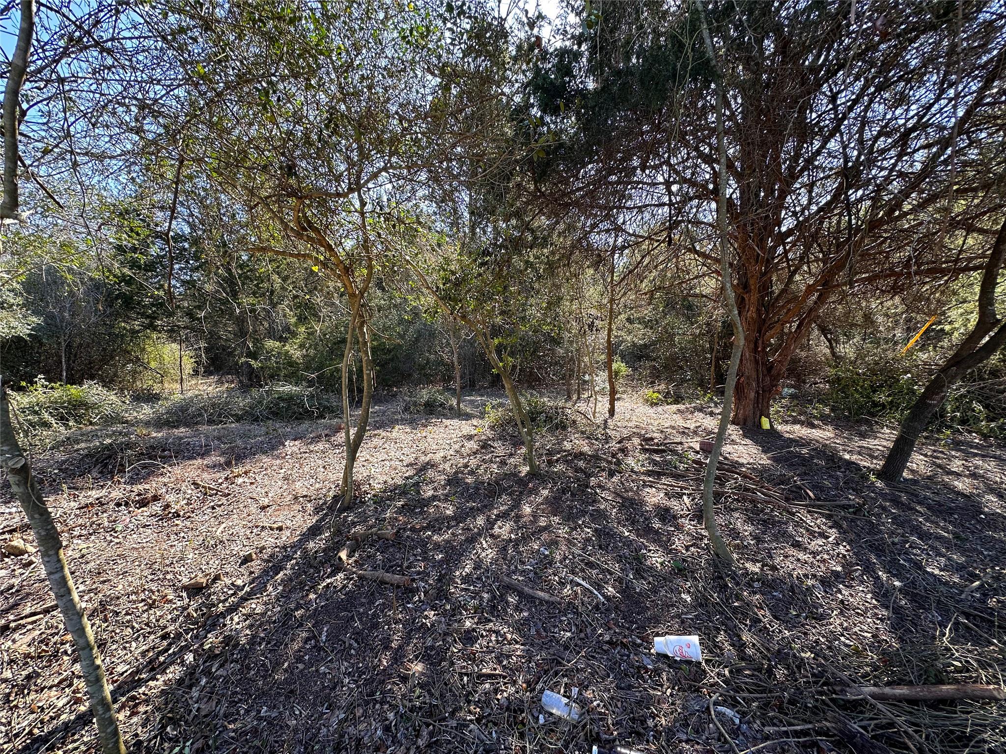 LOT 15 Alta Vista DR