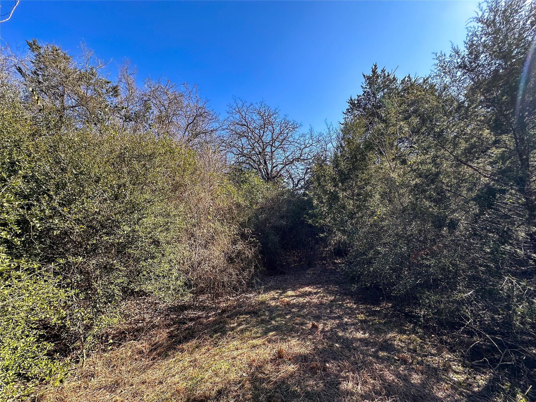 LOT 15 Alta Vista DR