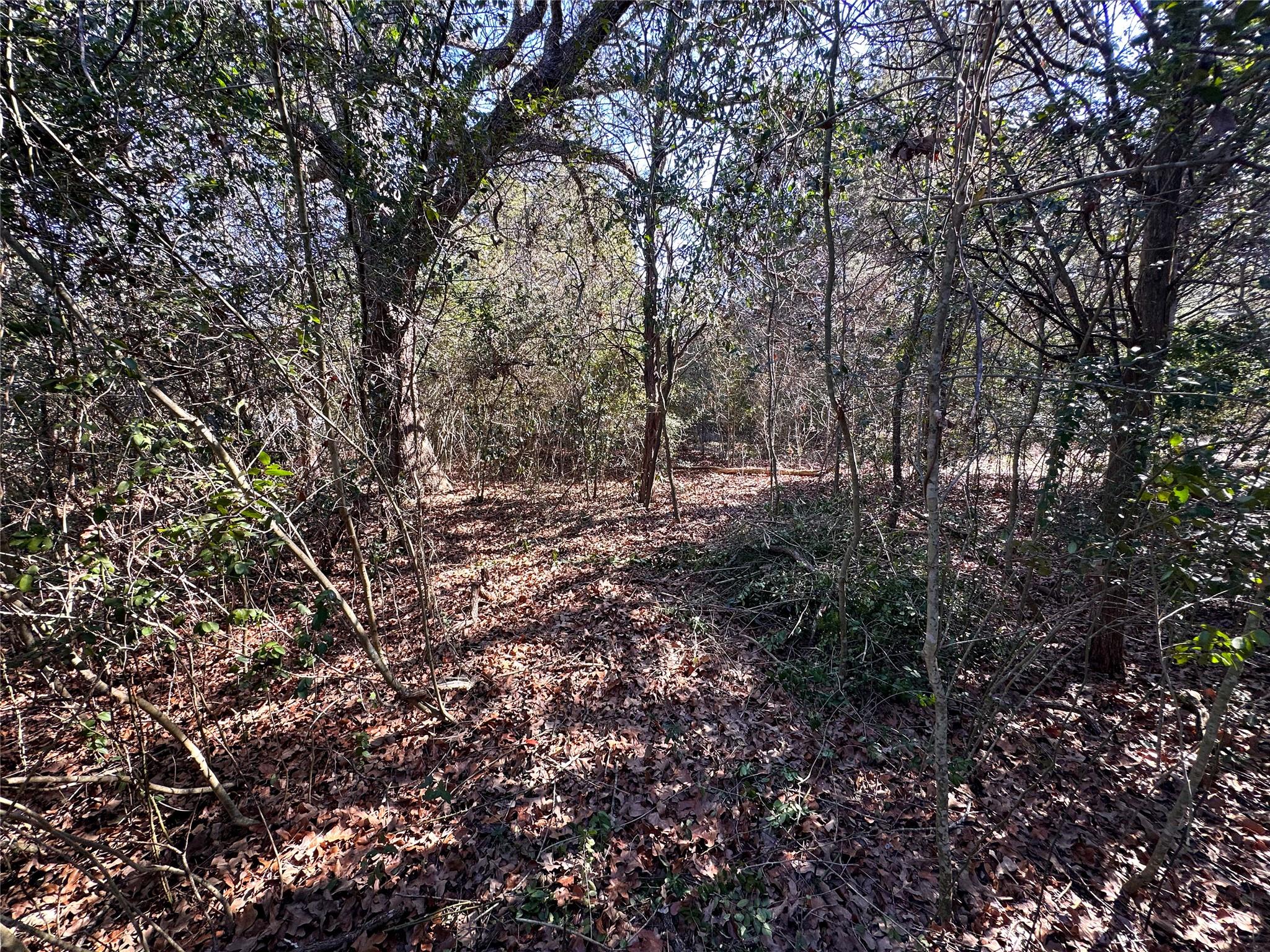 LOT 15 Alta Vista DR