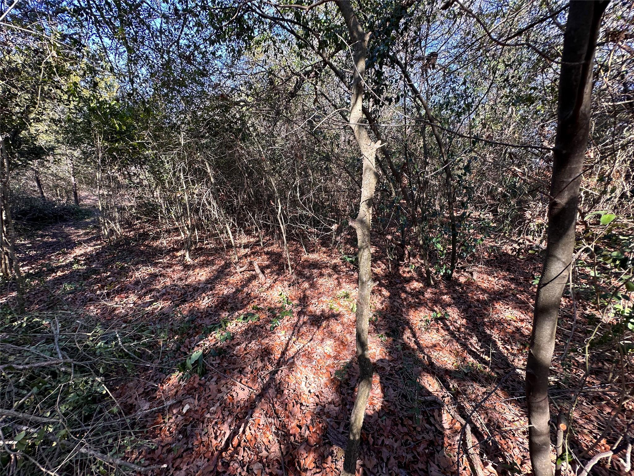 LOT 15 Alta Vista DR