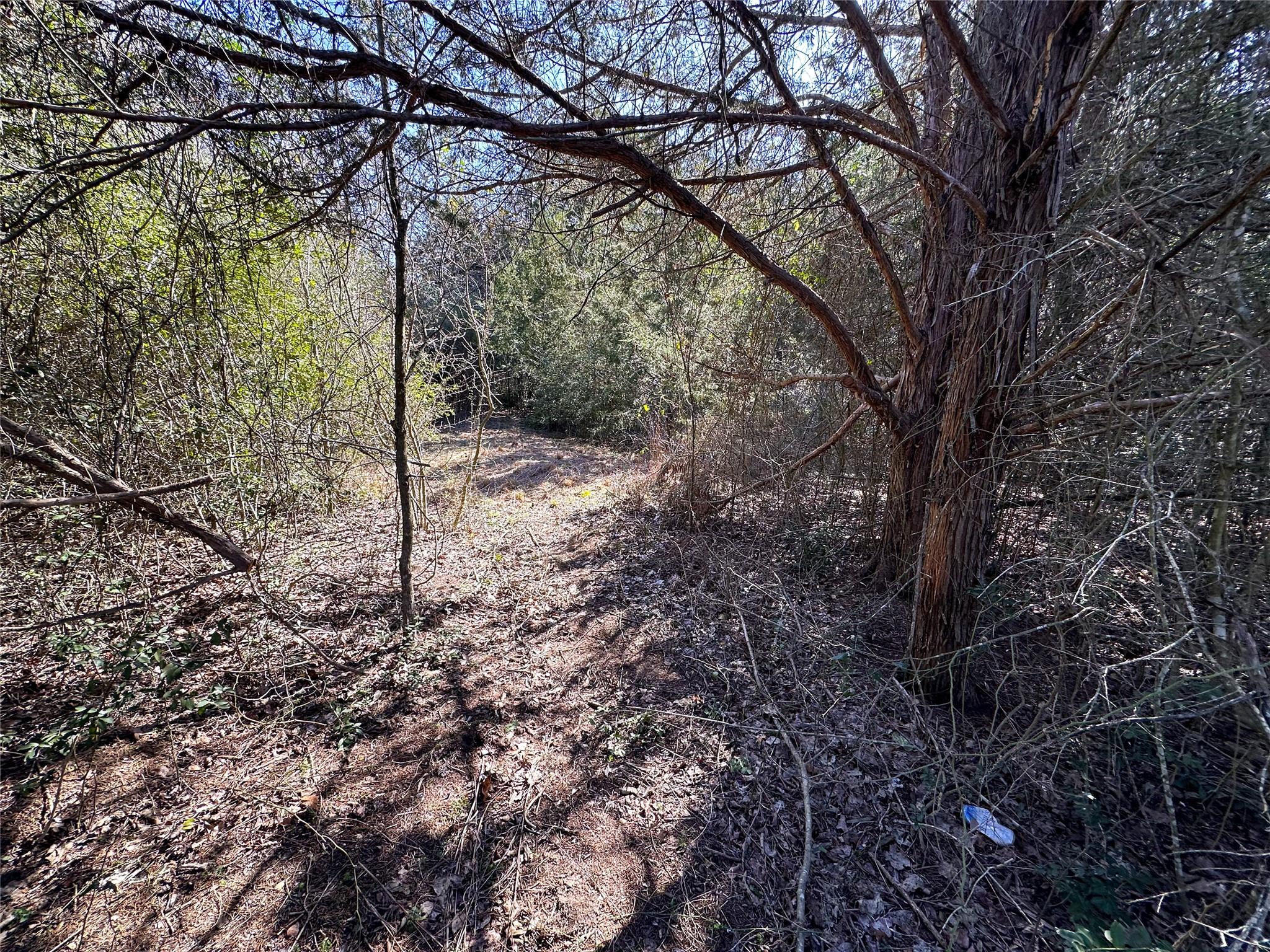 LOT 15 Alta Vista DR