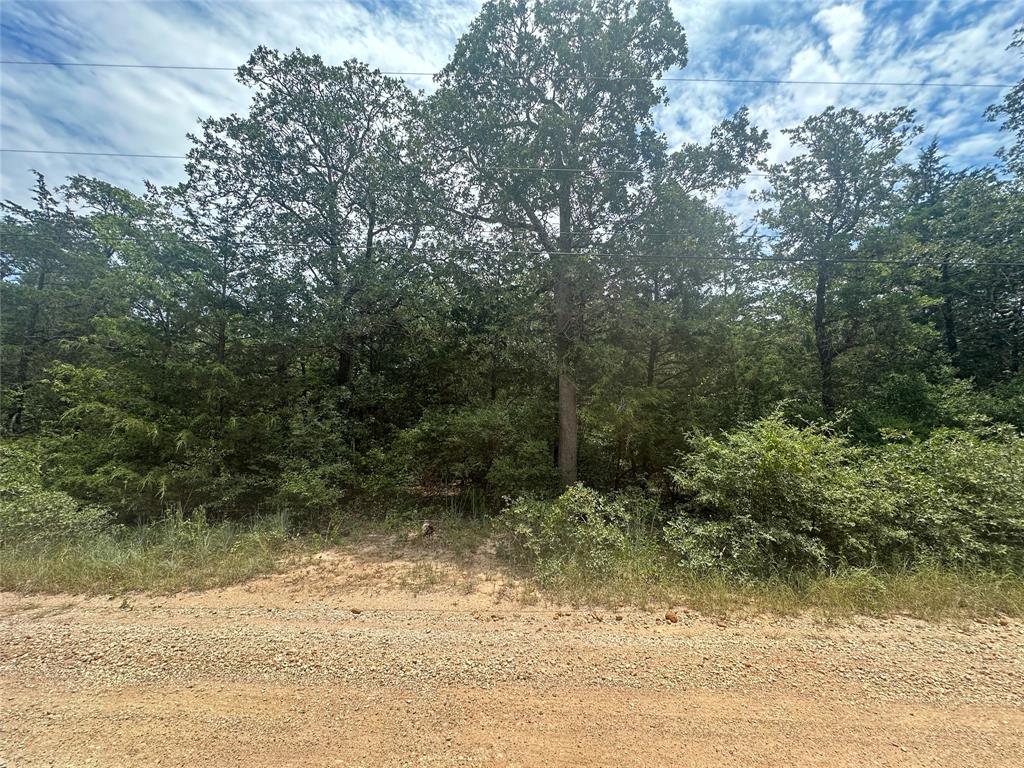 Wooded vacant lot beside a gravel road, with mature trees and overhead utility lines.