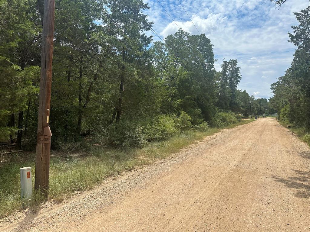 Gravel road bordered by dense trees, utility poles, and overhead wires.