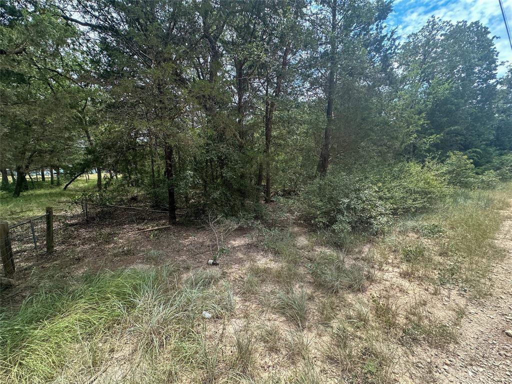Wooded vacant lot with mature trees, sandy ground, and a wire fence.