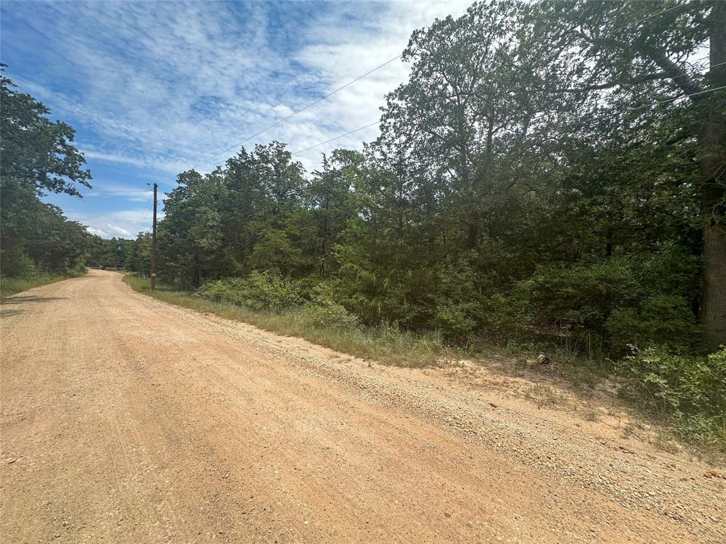Gravel road curving through dense trees, with a utility pole and overhead wires.