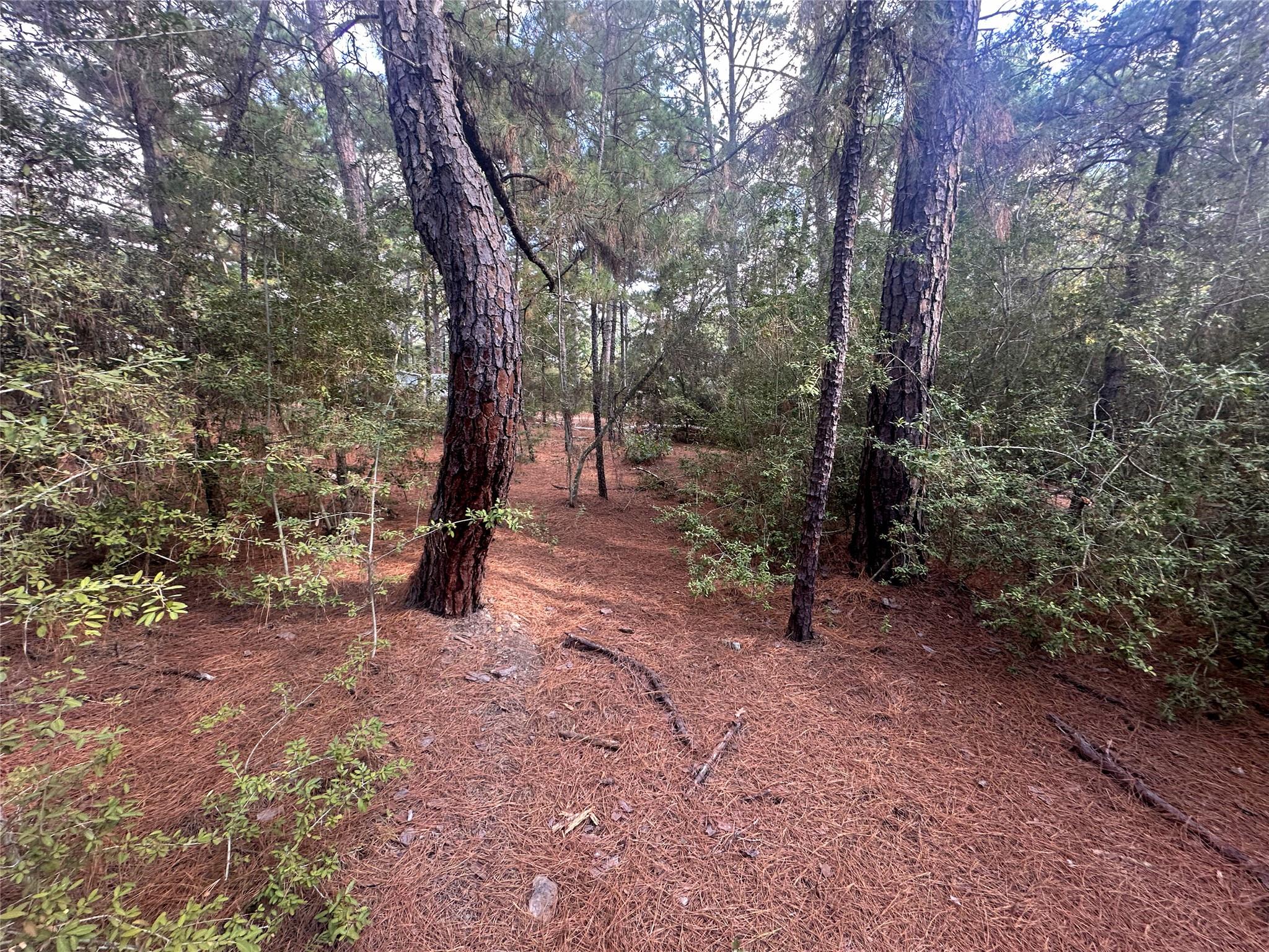 Lot 85 Hill Ridge DR