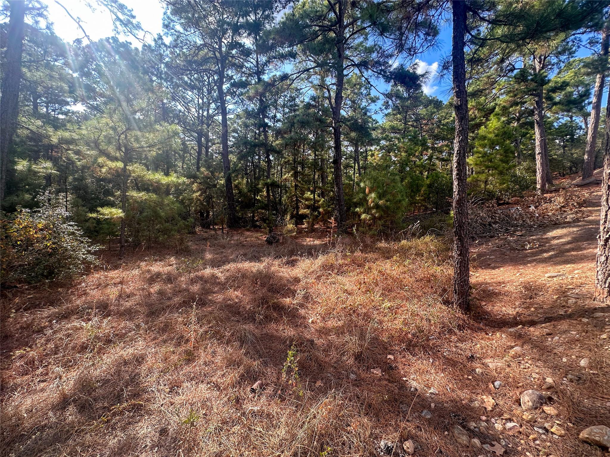 Lot 85 Hill Ridge DR