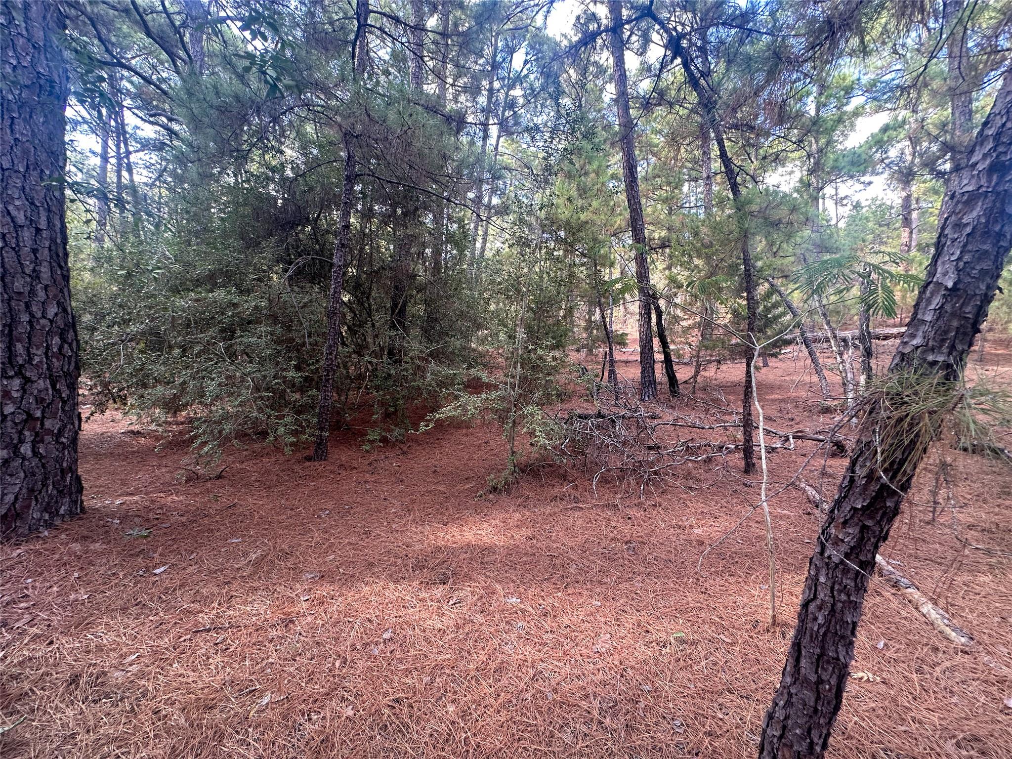 Lot 85 Hill Ridge DR