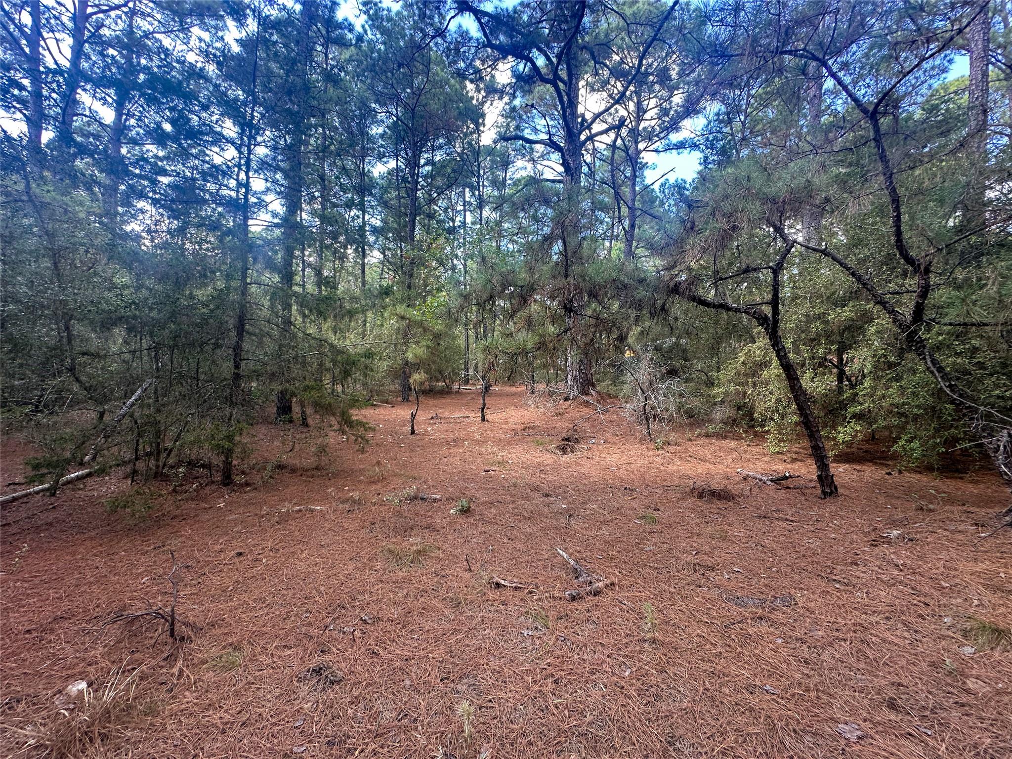 Lot 85 Hill Ridge DR