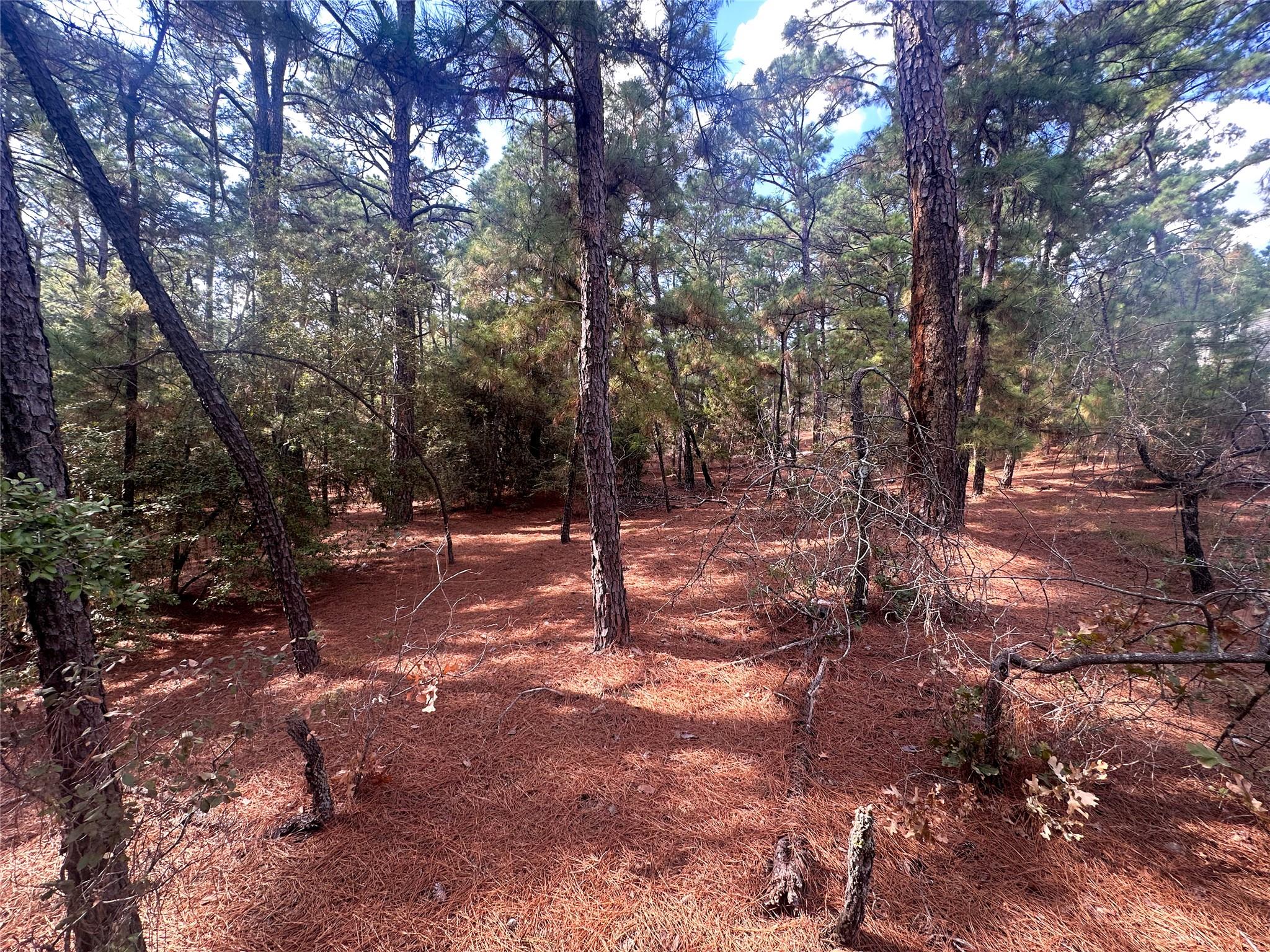 Lot 84 Hill Ridge DR