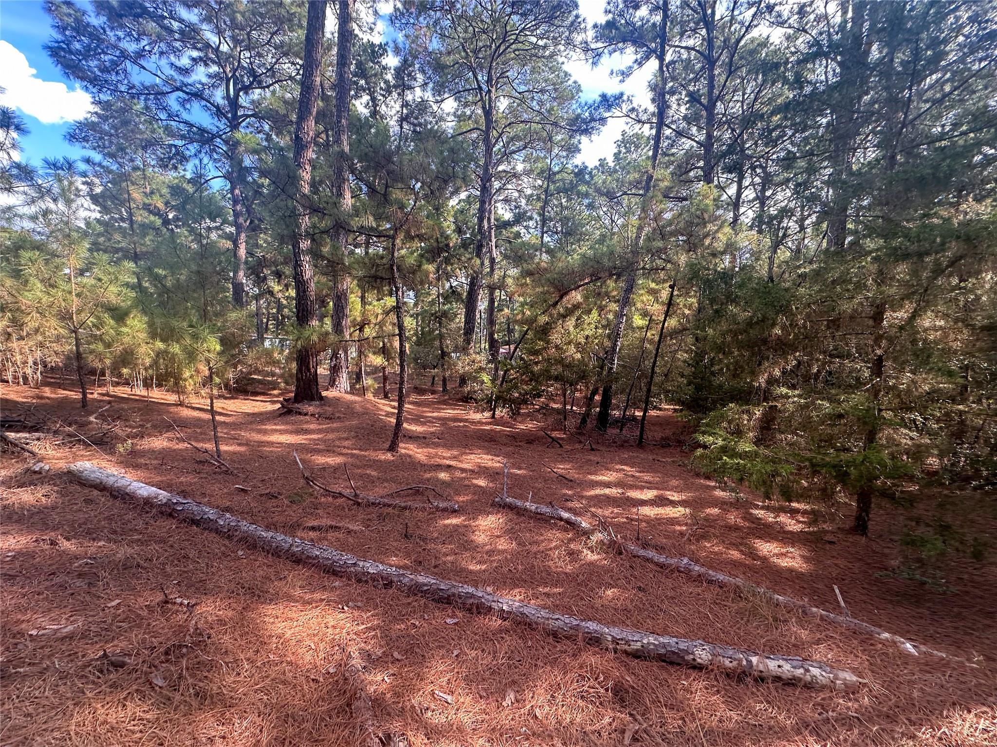 Lot 84 Hill Ridge DR