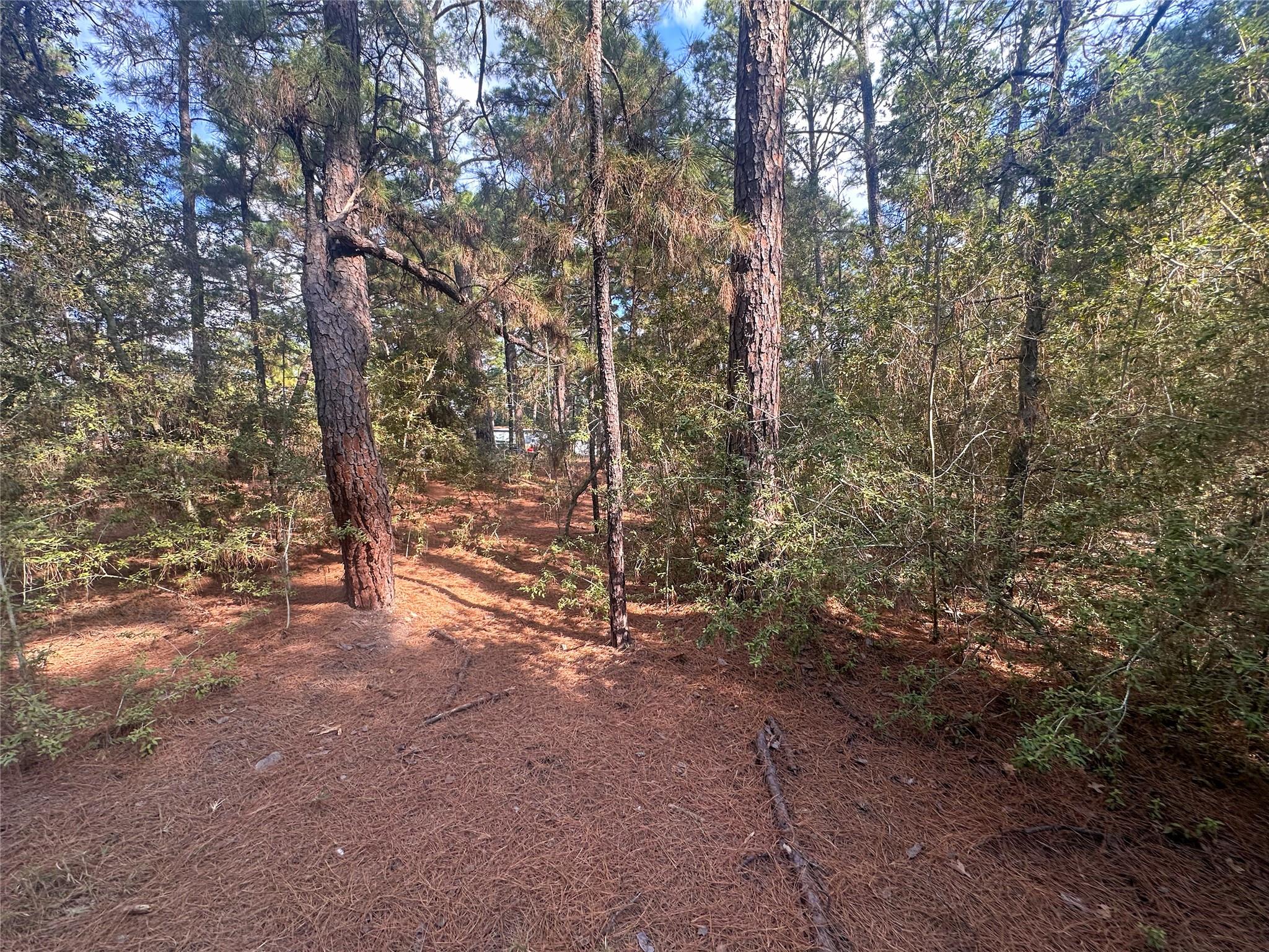 Lot 84 Hill Ridge DR