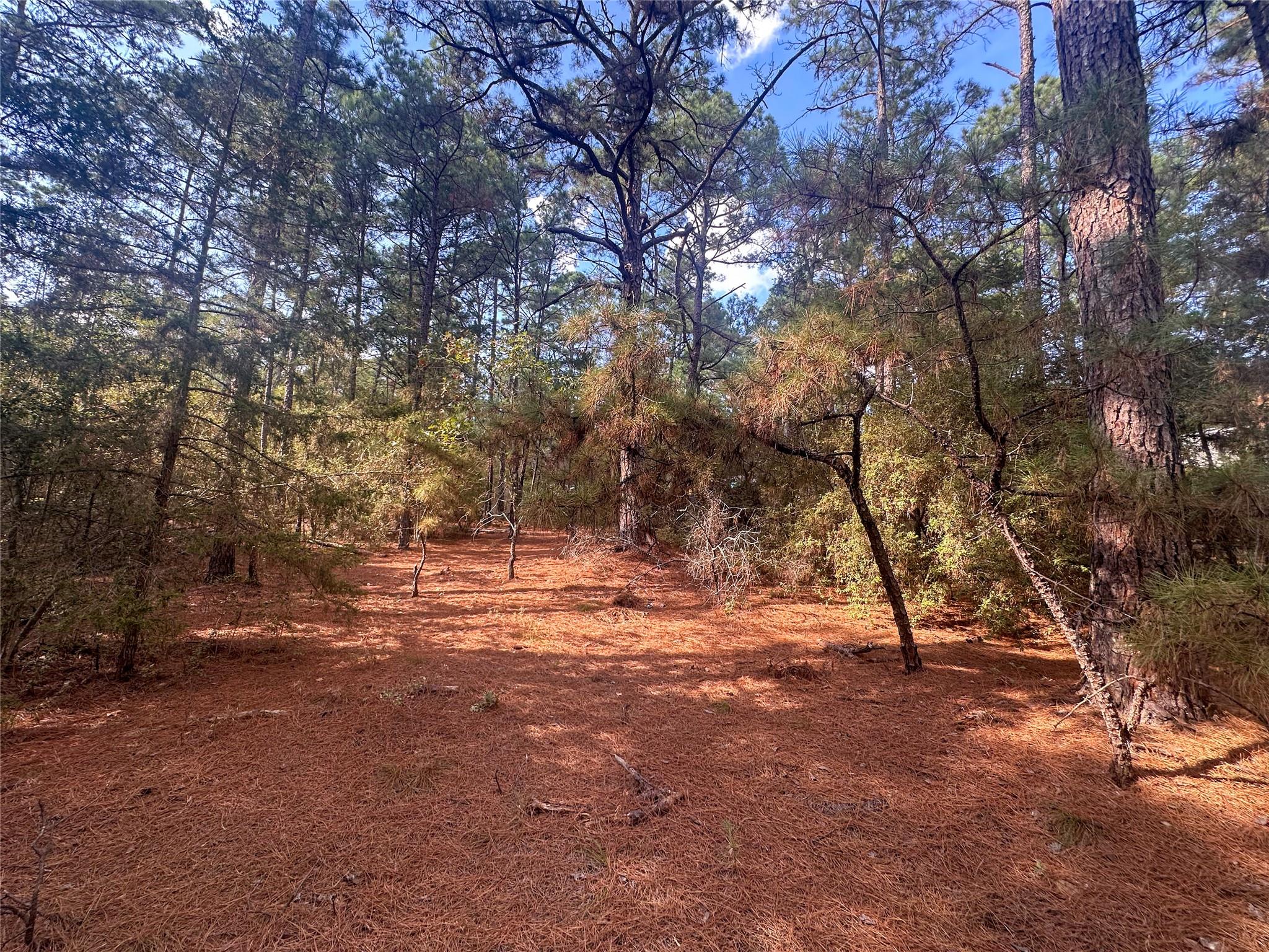 Lot 84 Hill Ridge DR