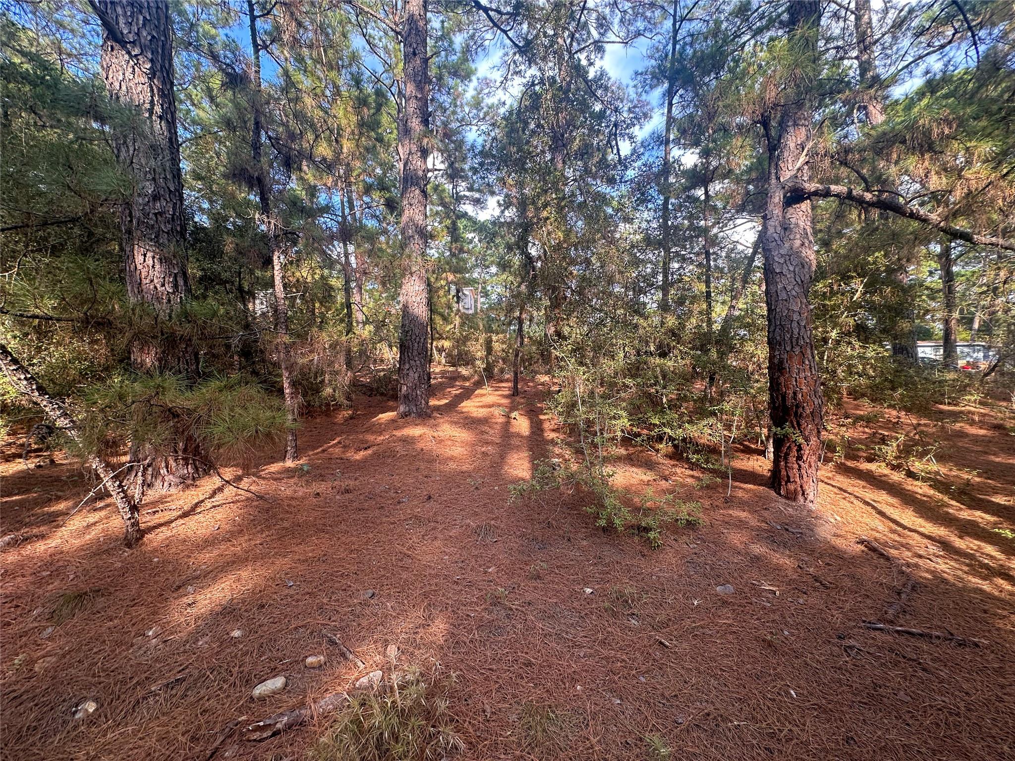 Lot 84 Hill Ridge DR