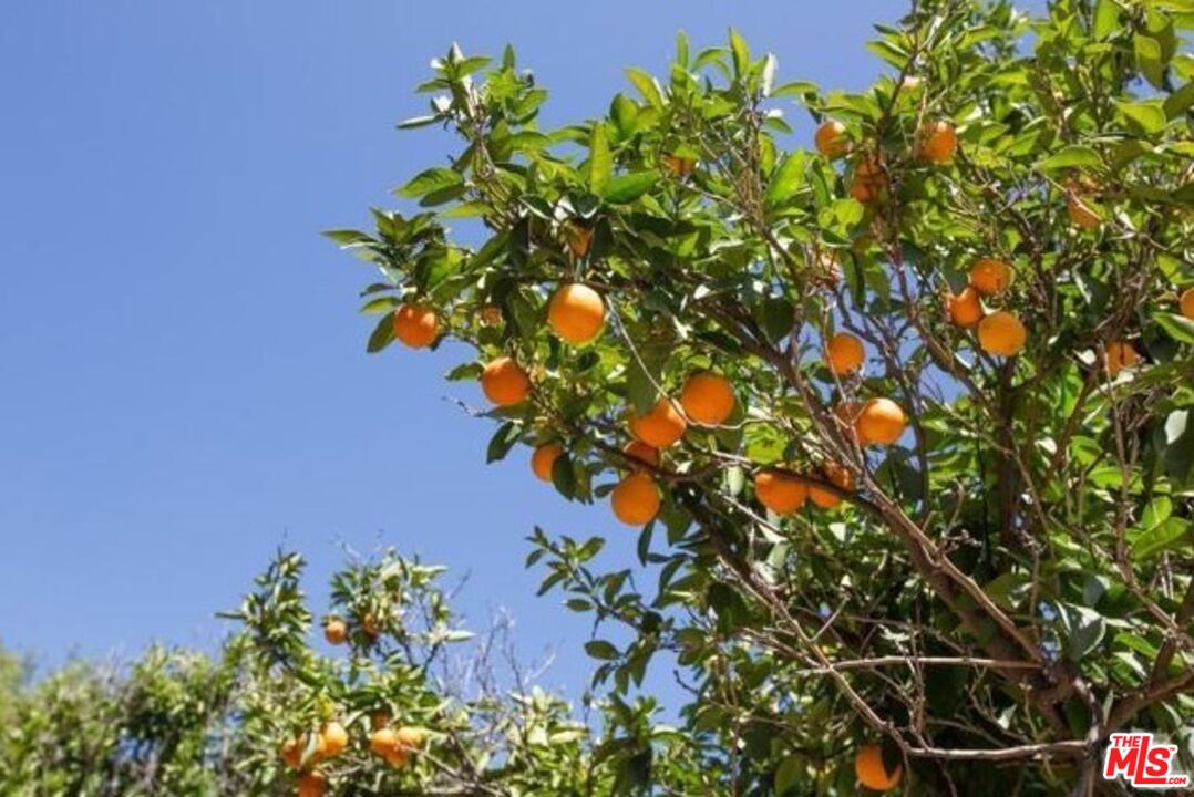 6917 Solano Verde Dr