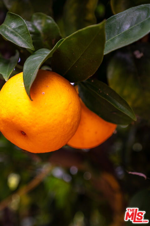 6917 Solano Verde Dr