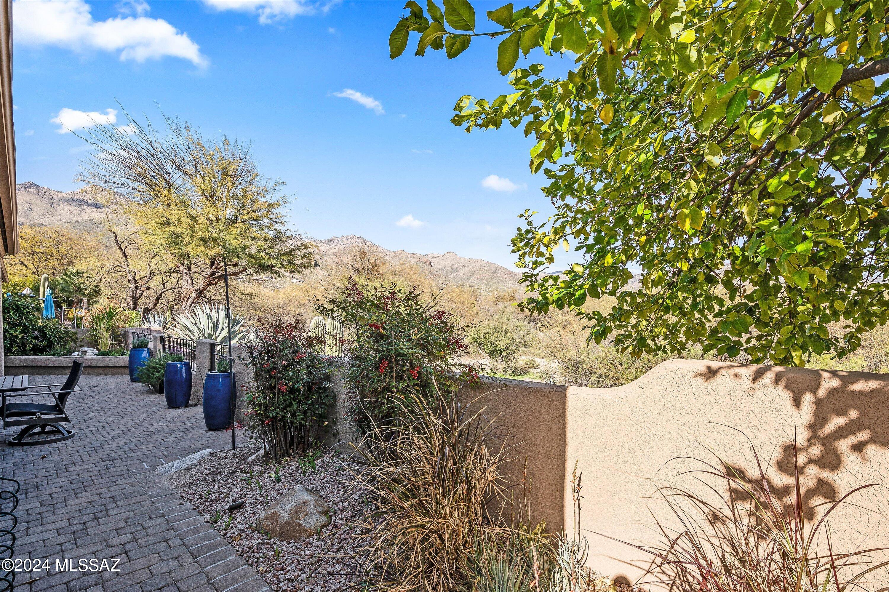 6020 N Coatimundi Drive