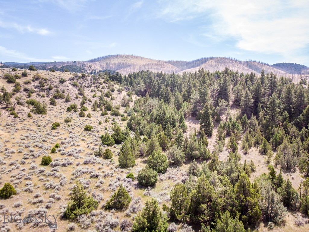 NHN Pole Gulch